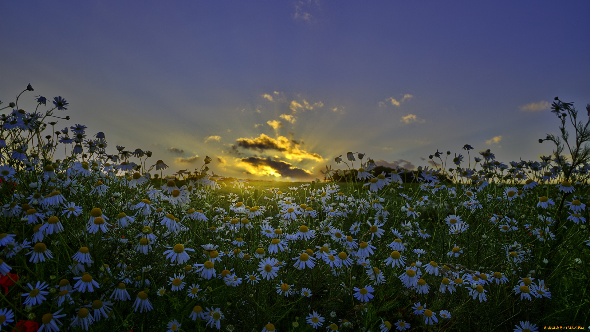 природа, восходы, закаты, рассвет