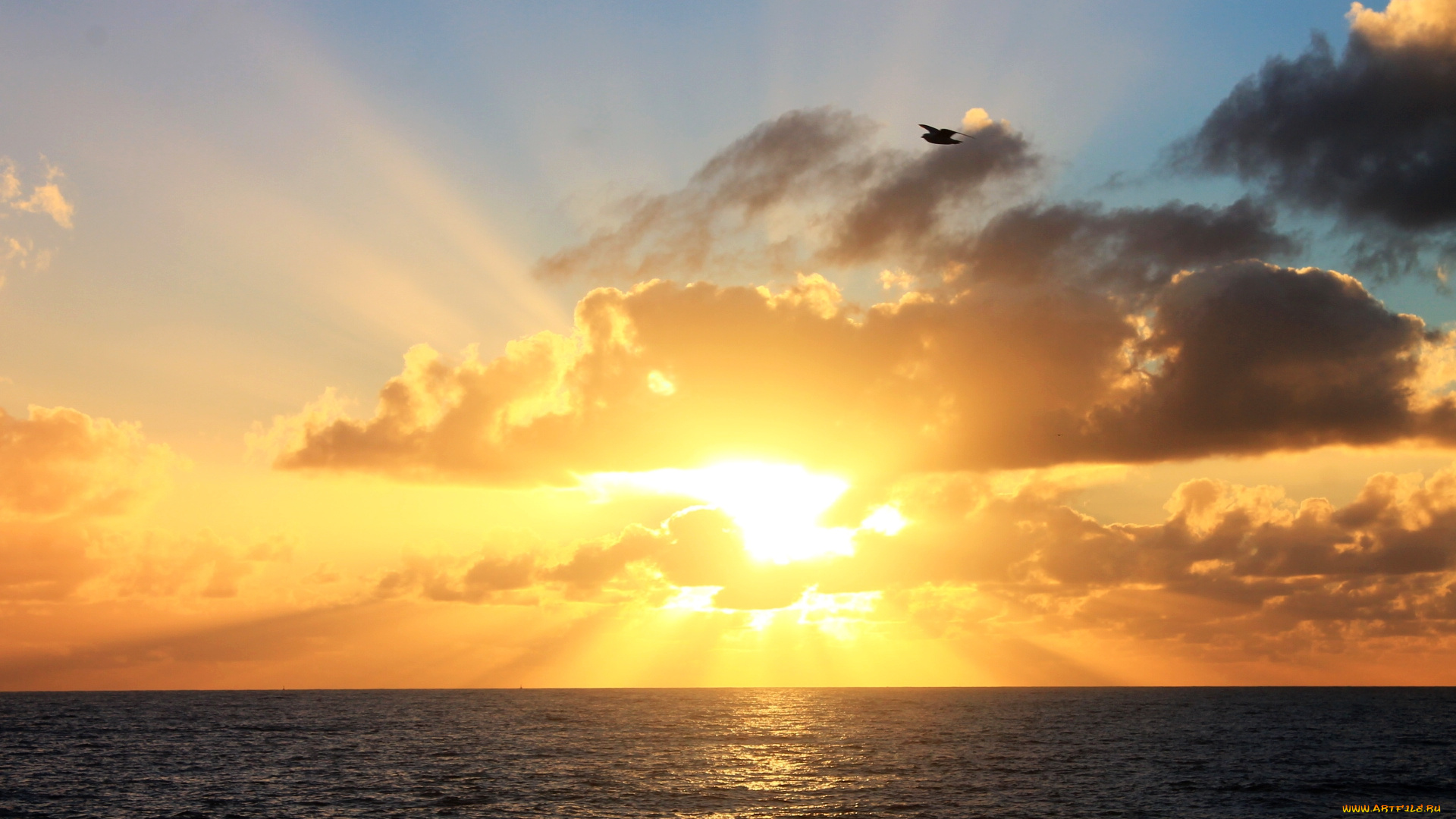 природа, восходы, закаты, рассвет