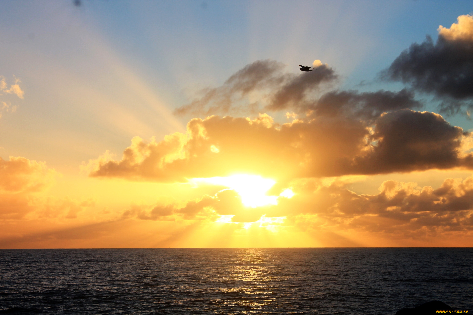 природа, восходы, закаты, рассвет