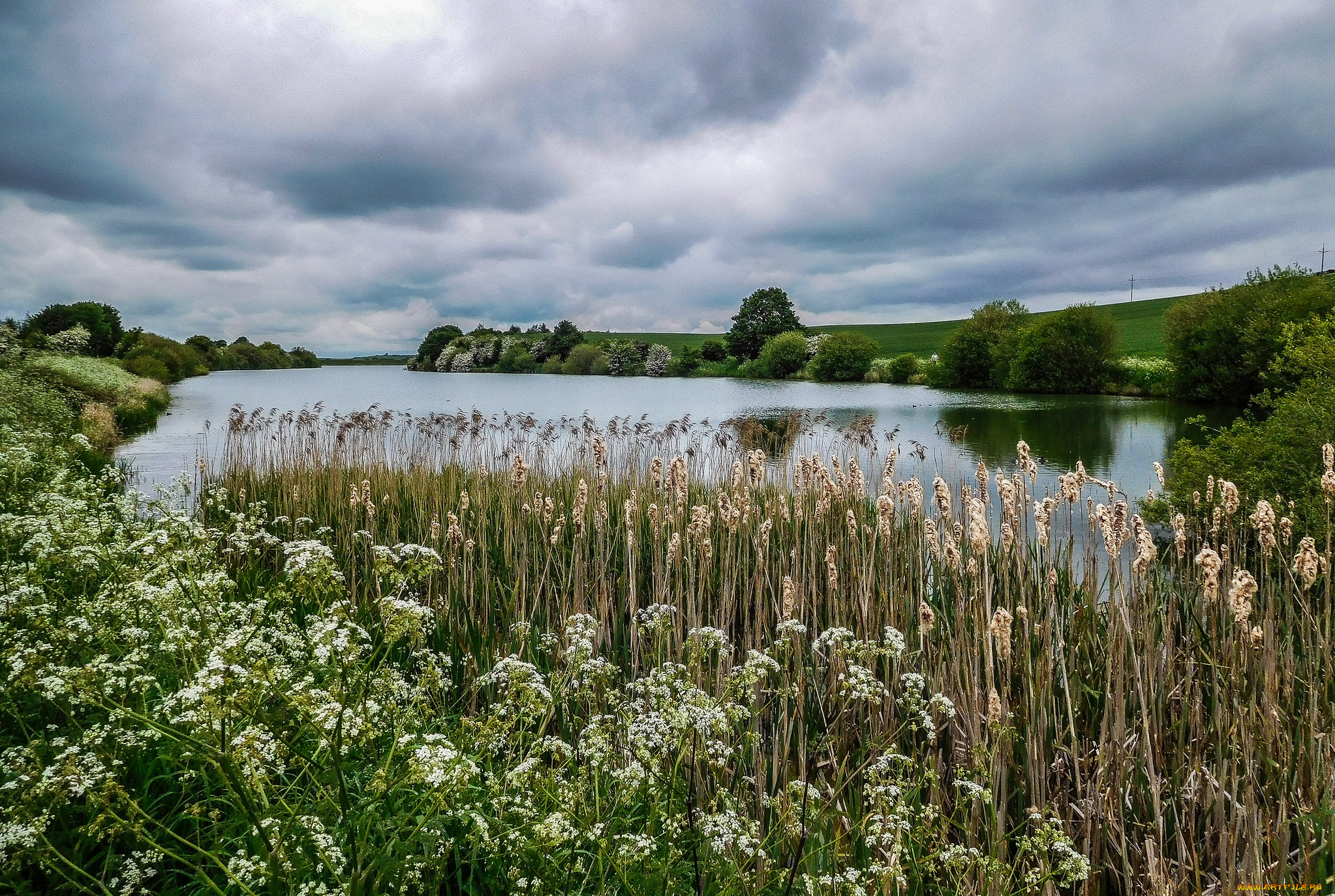 природа, реки, озера, лес, река