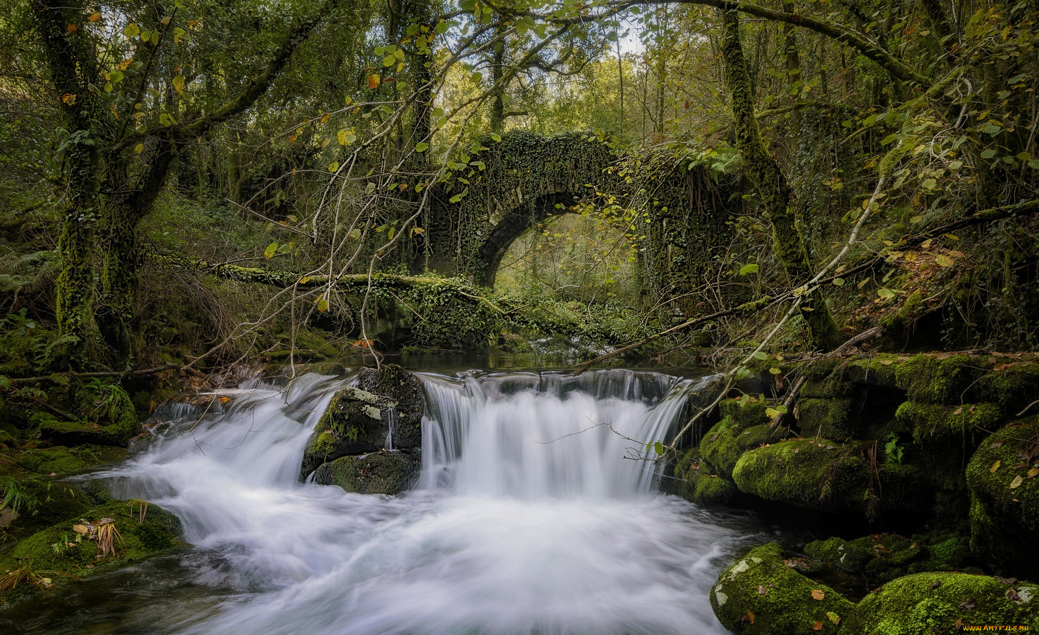 природа, водопады, река, лес, водопад