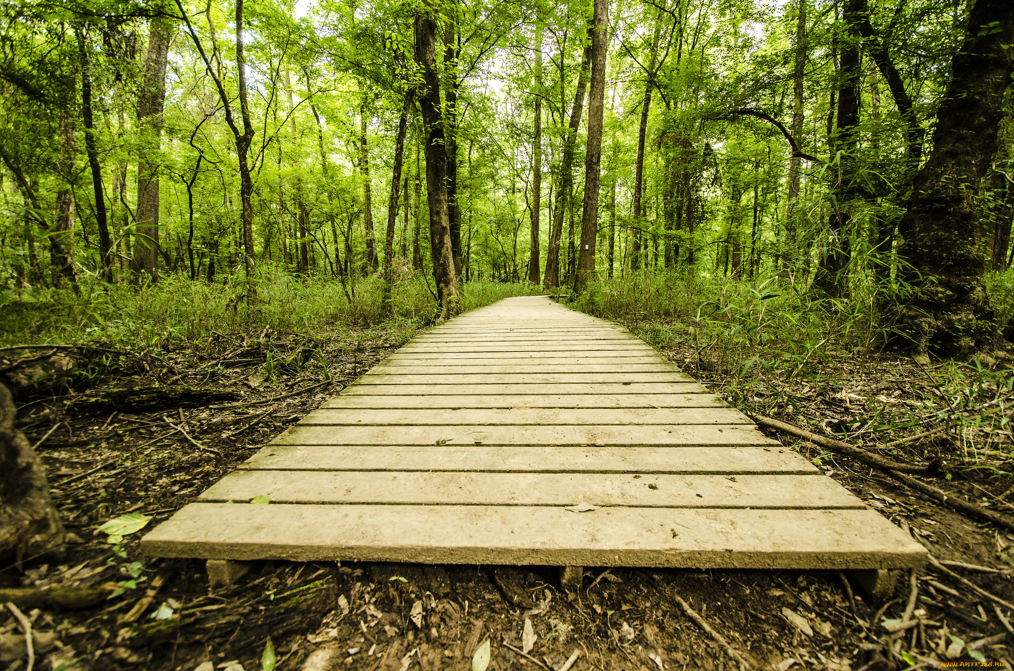 природа, дороги, тракт