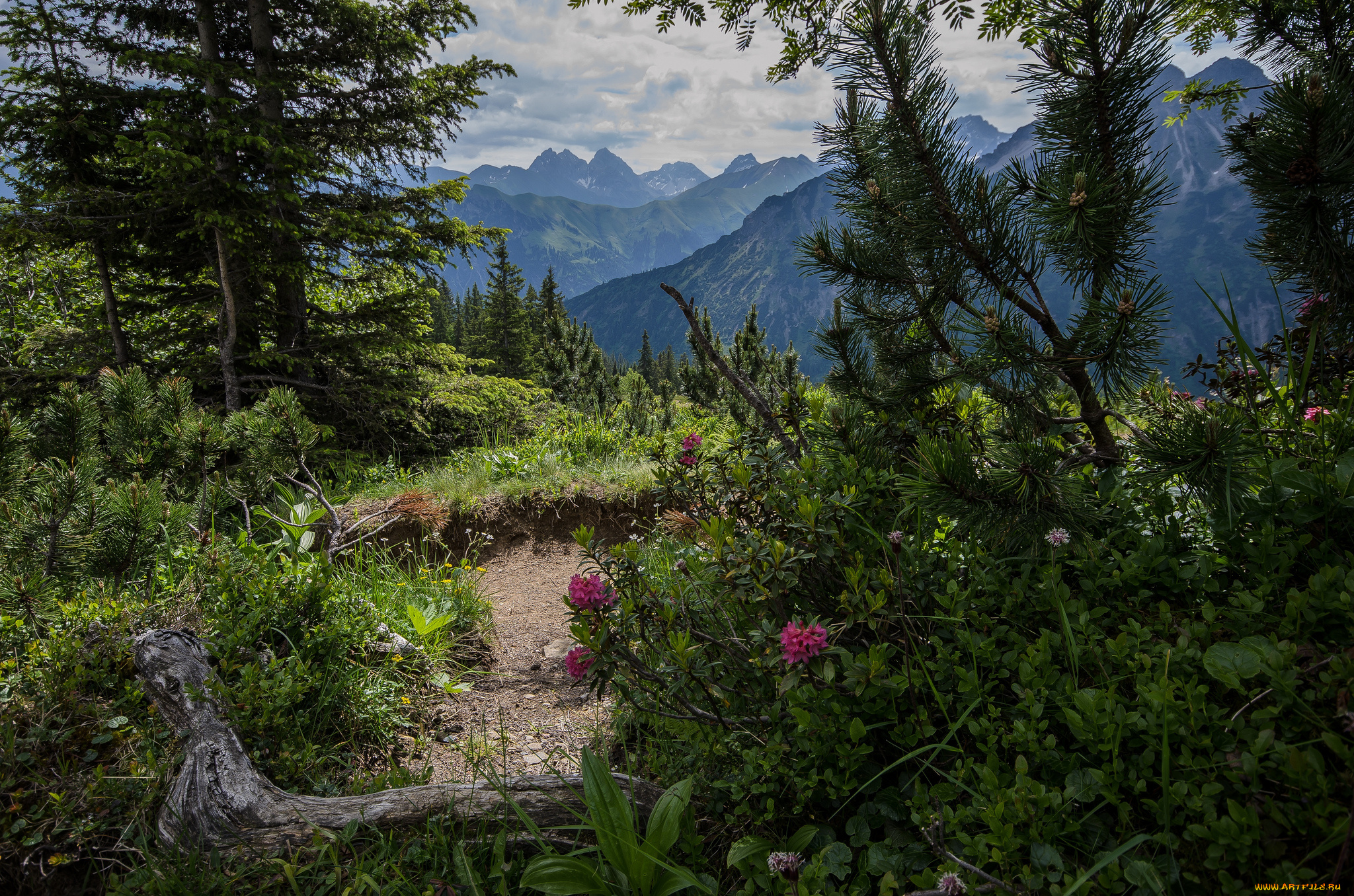 природа, горы, скалы