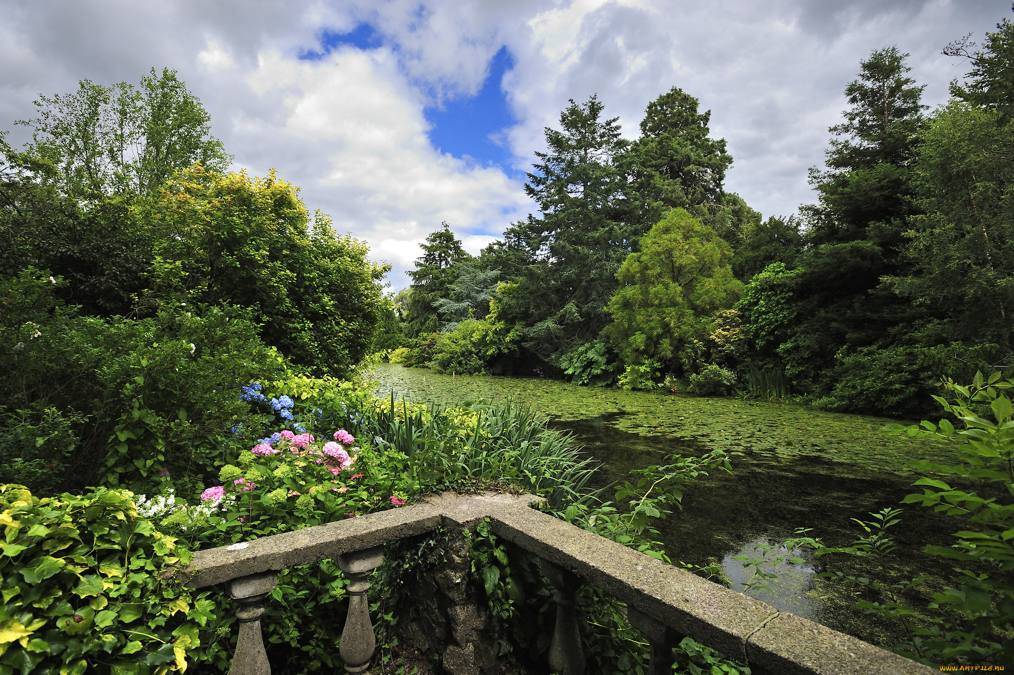 природа, реки, озера, река, лес