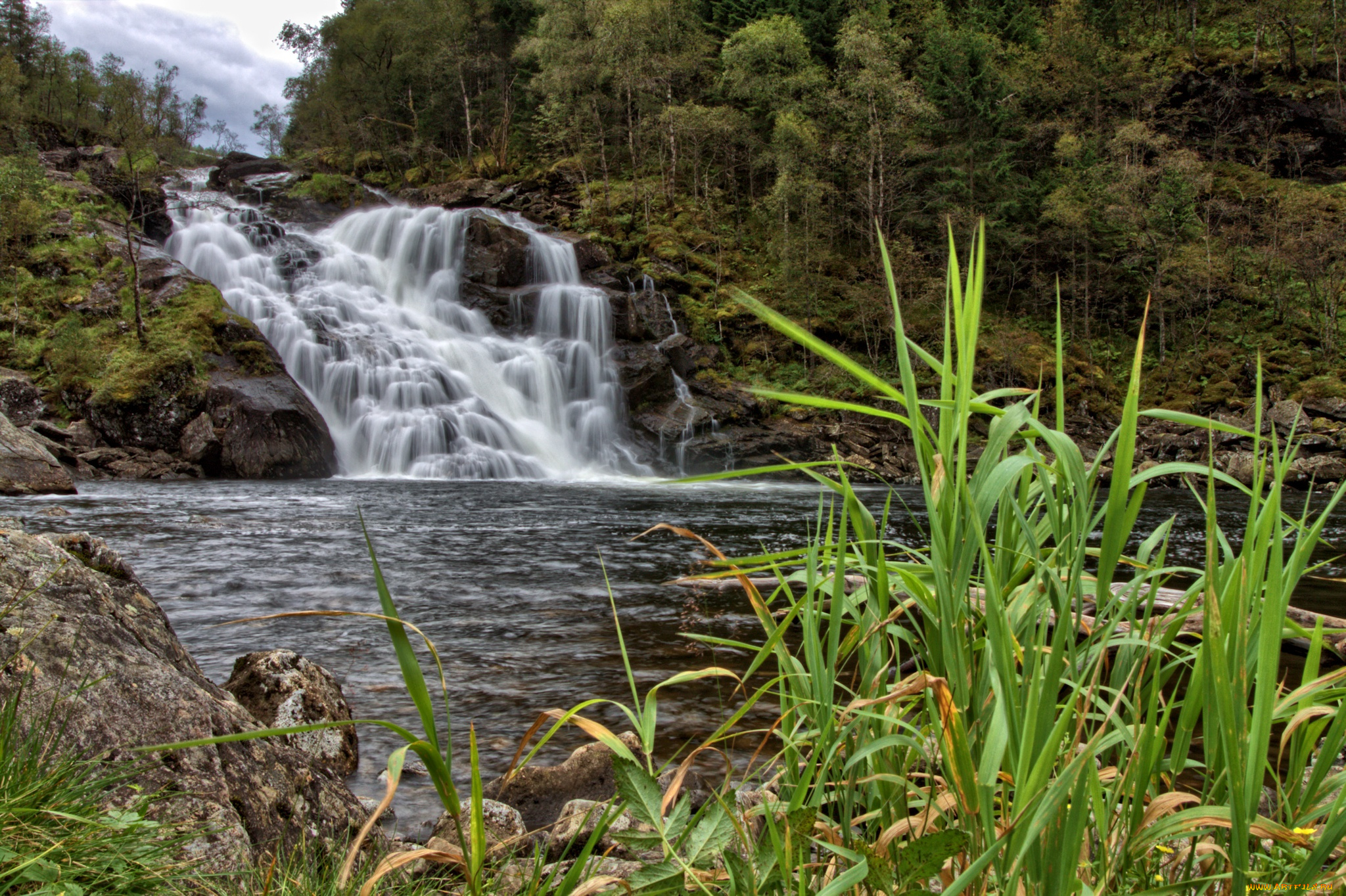 природа, водопады, лес, река, водопад