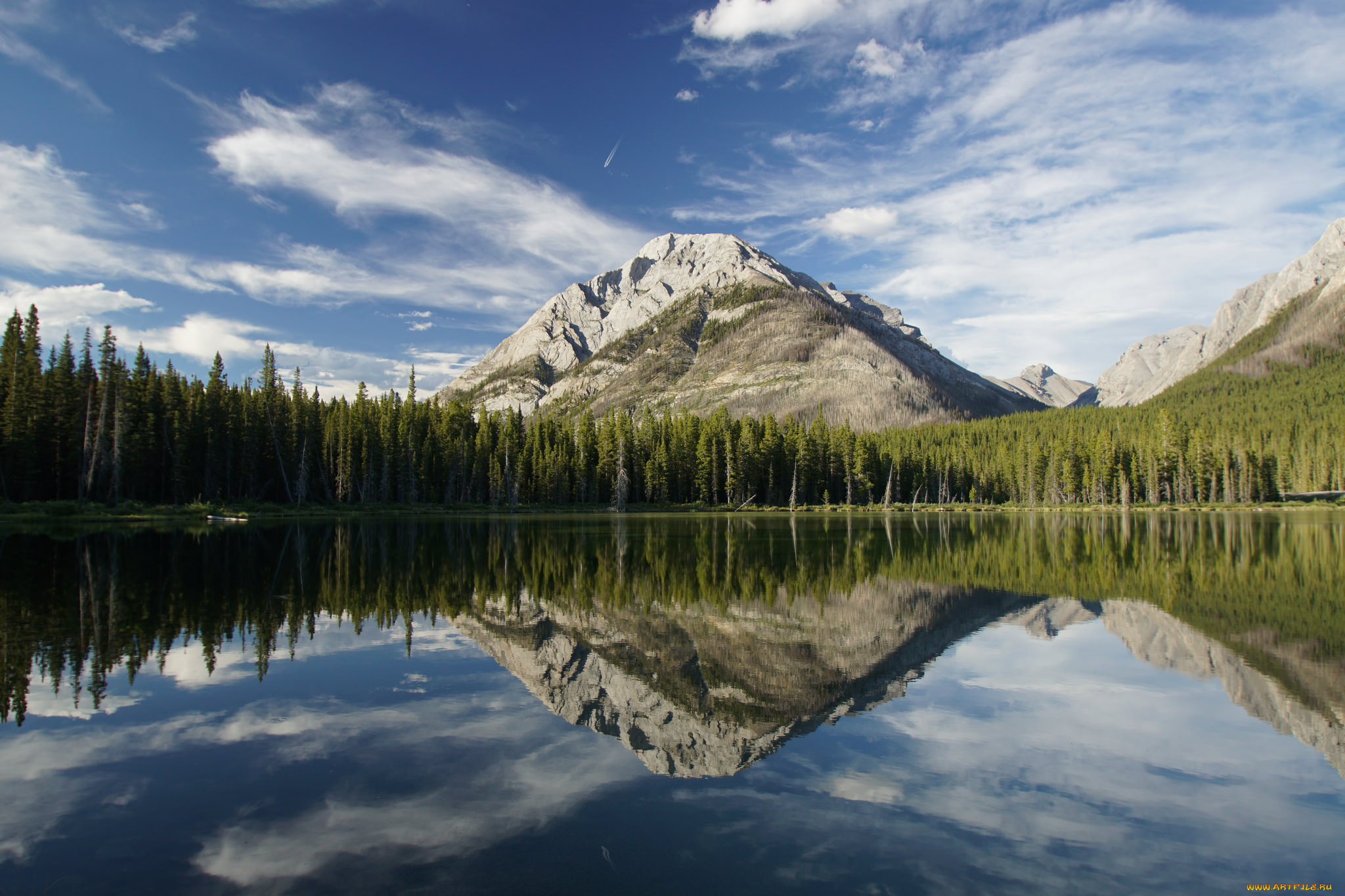 природа, реки, озера, лес, река