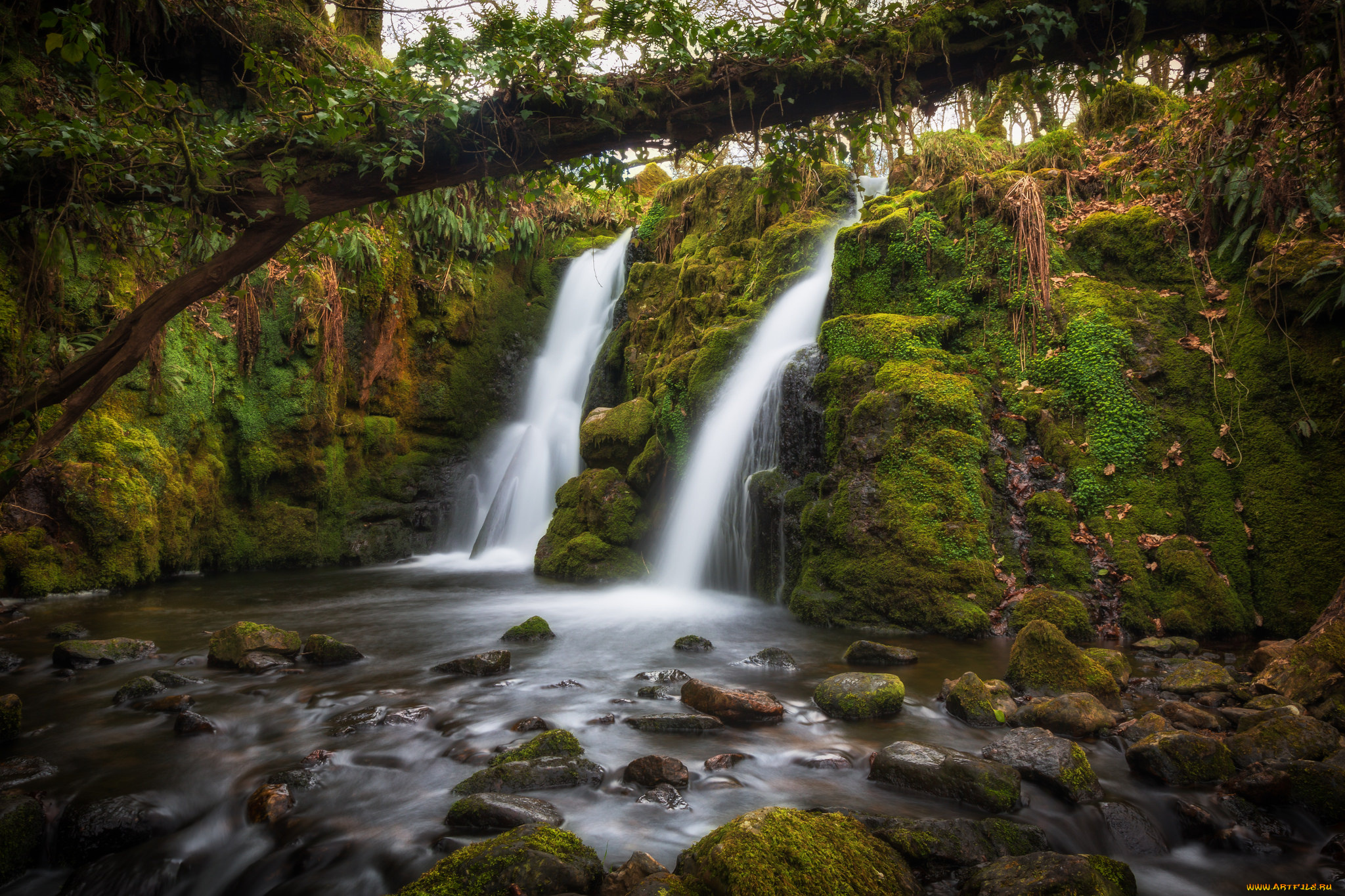 природа, водопады, лес, река, водопад