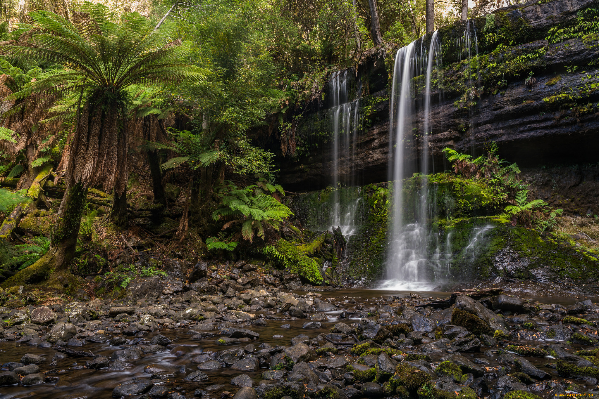 природа, водопады, лес, водопад, река