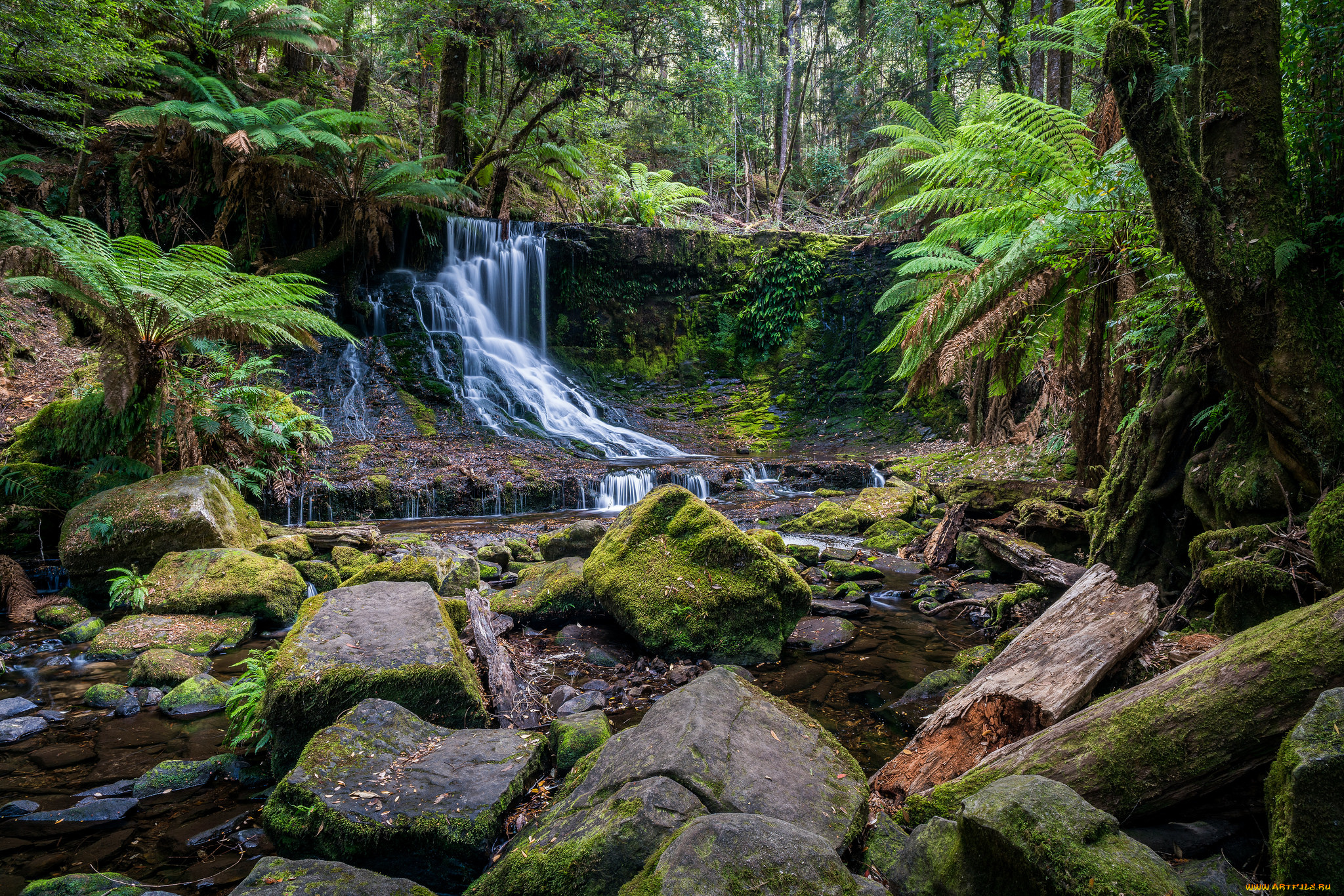 природа, водопады, лес, водопад, река