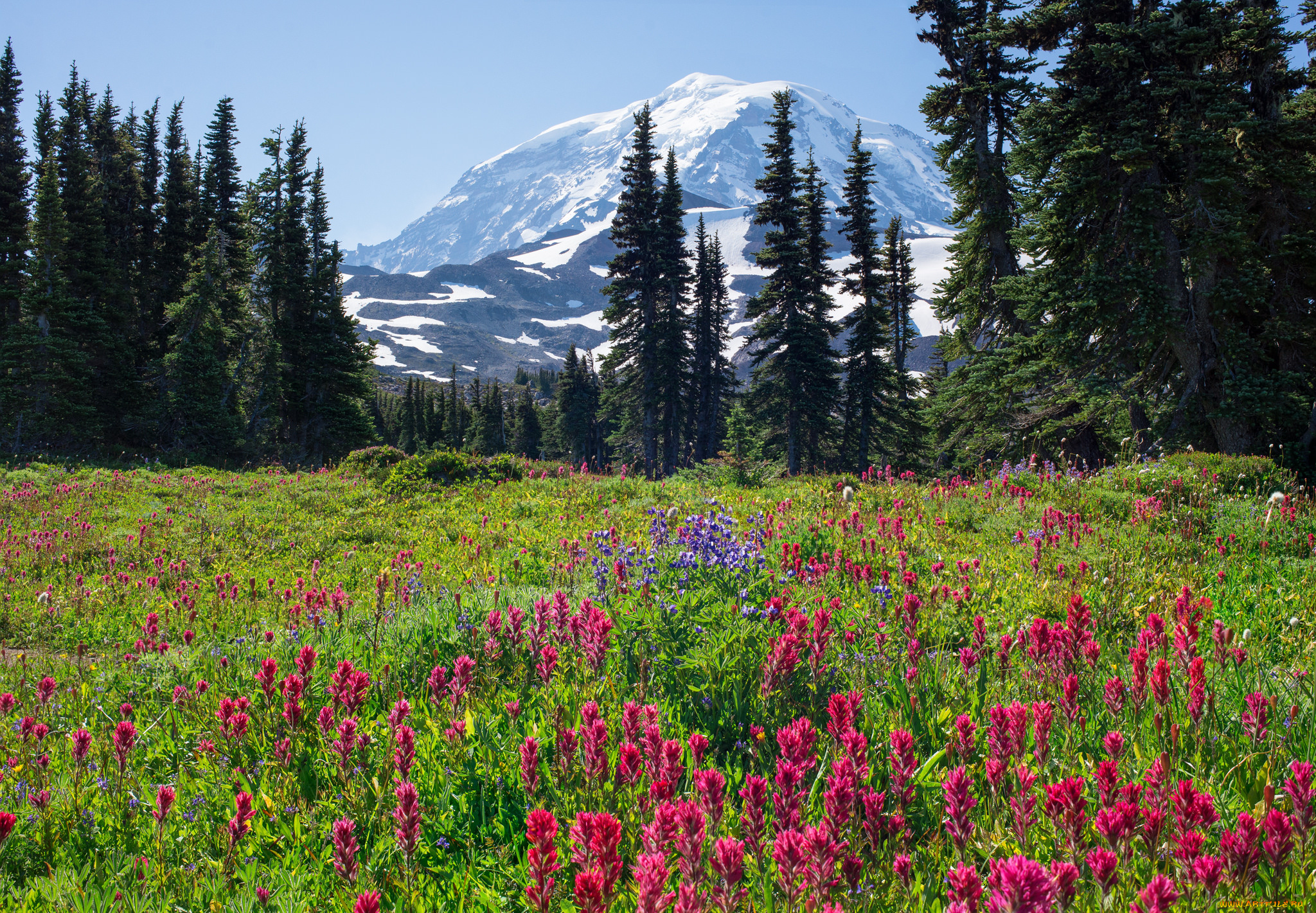 природа, луга, скалы