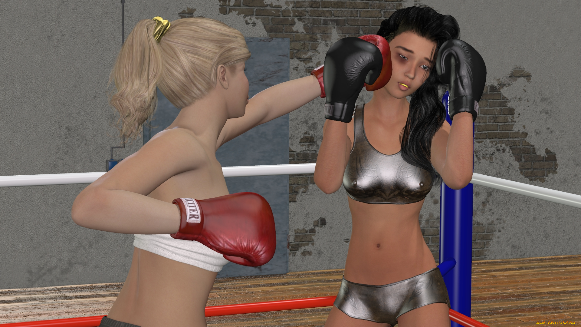 3д, графика, спорт, , sport, бокс, ринг, фон, взгляд, девушки