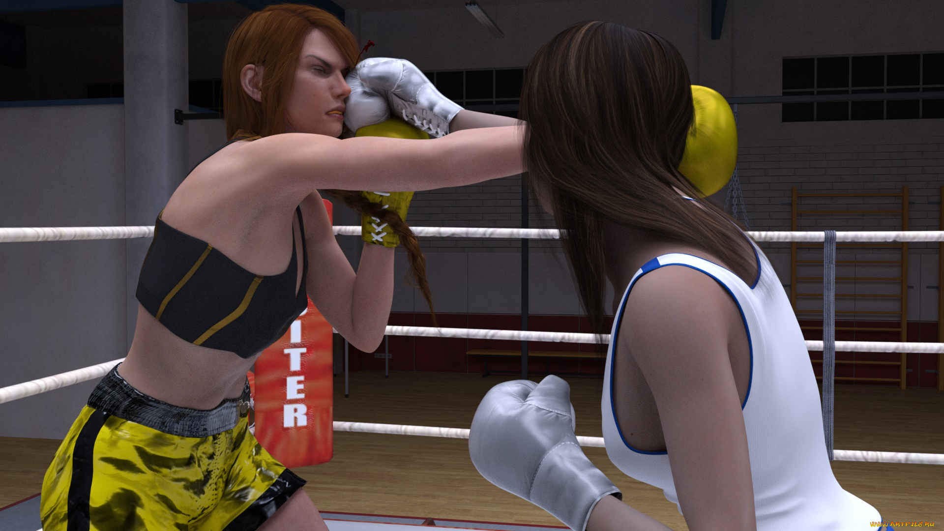 3д, графика, спорт, , sport, ринг, фон, взгляд, девушки, бокс