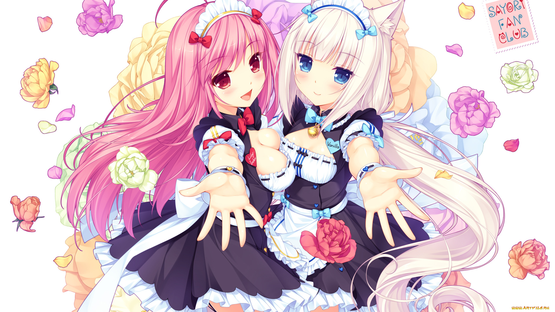 аниме, nekopara
