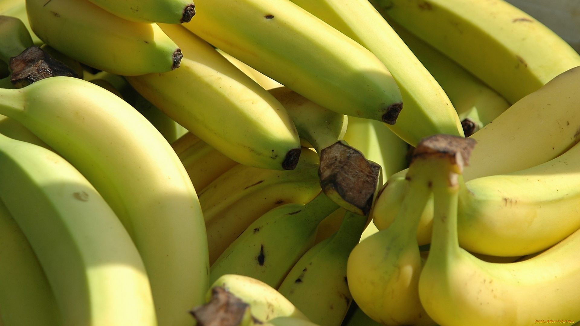 еда, бананы, много