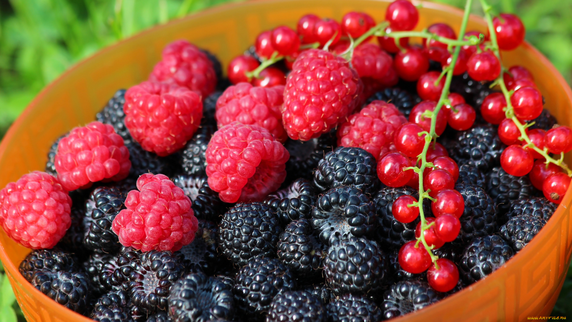 еда, фрукты, , ягоды, вкусно, витамины, ягоды, лето, дача