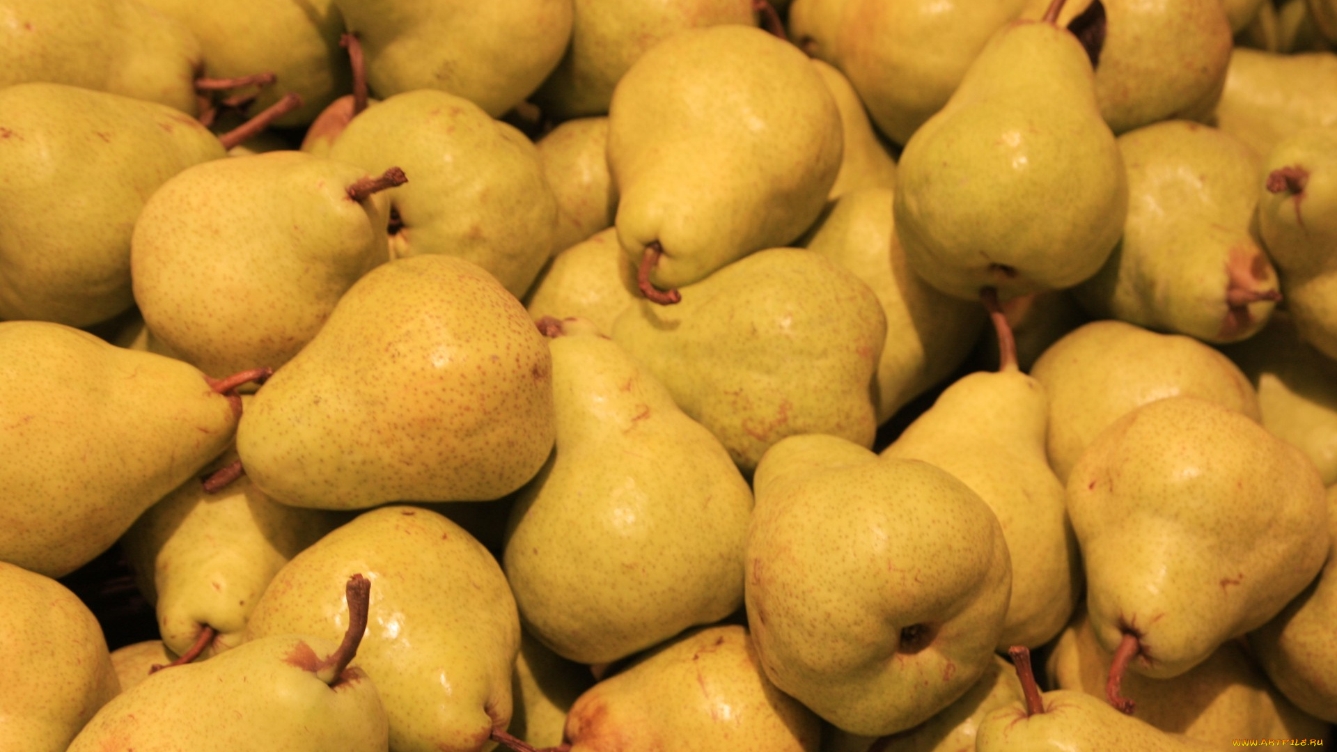 еда, груши, много, урожай
