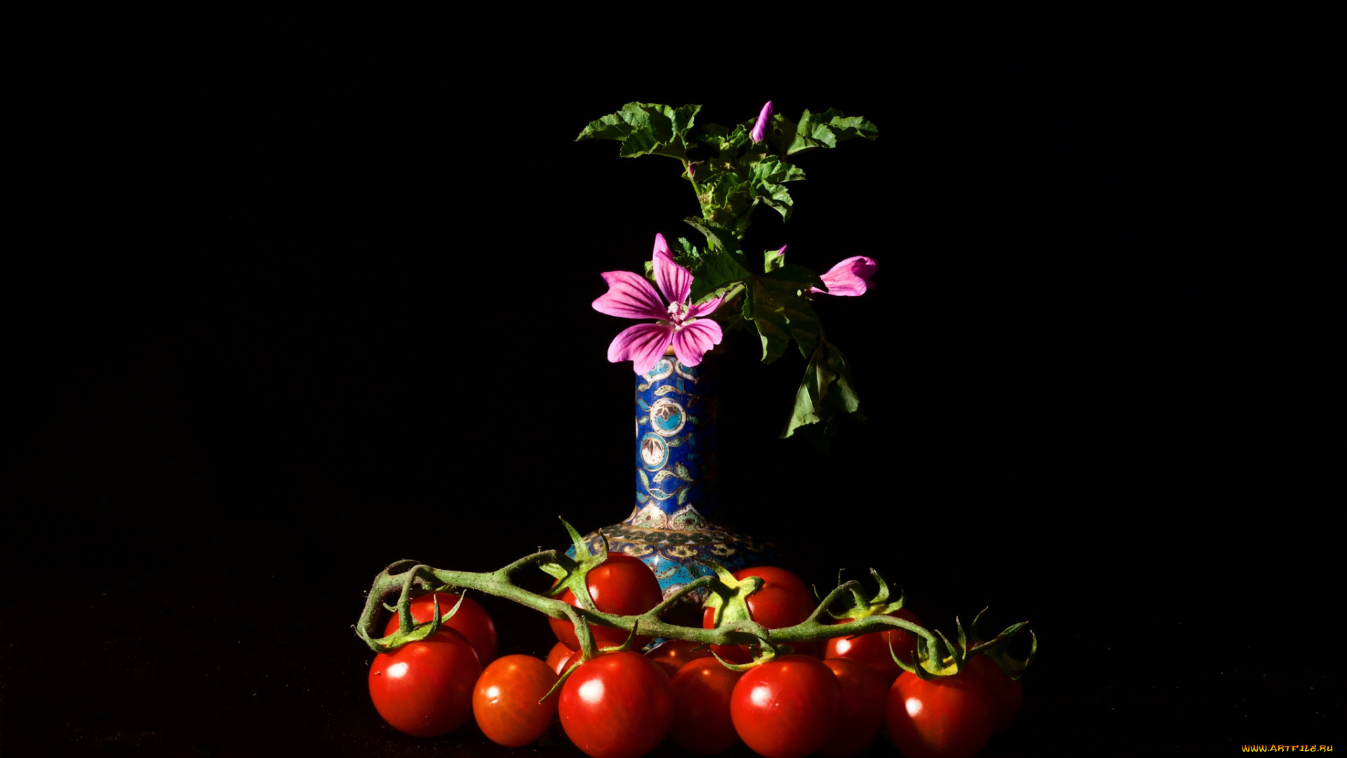 еда, натюрморт, снедь, томаты, помидоры