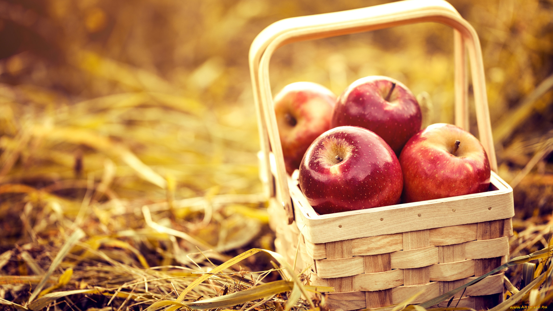 еда, Яблоки, природа, корзина, сено, фон, яблоки