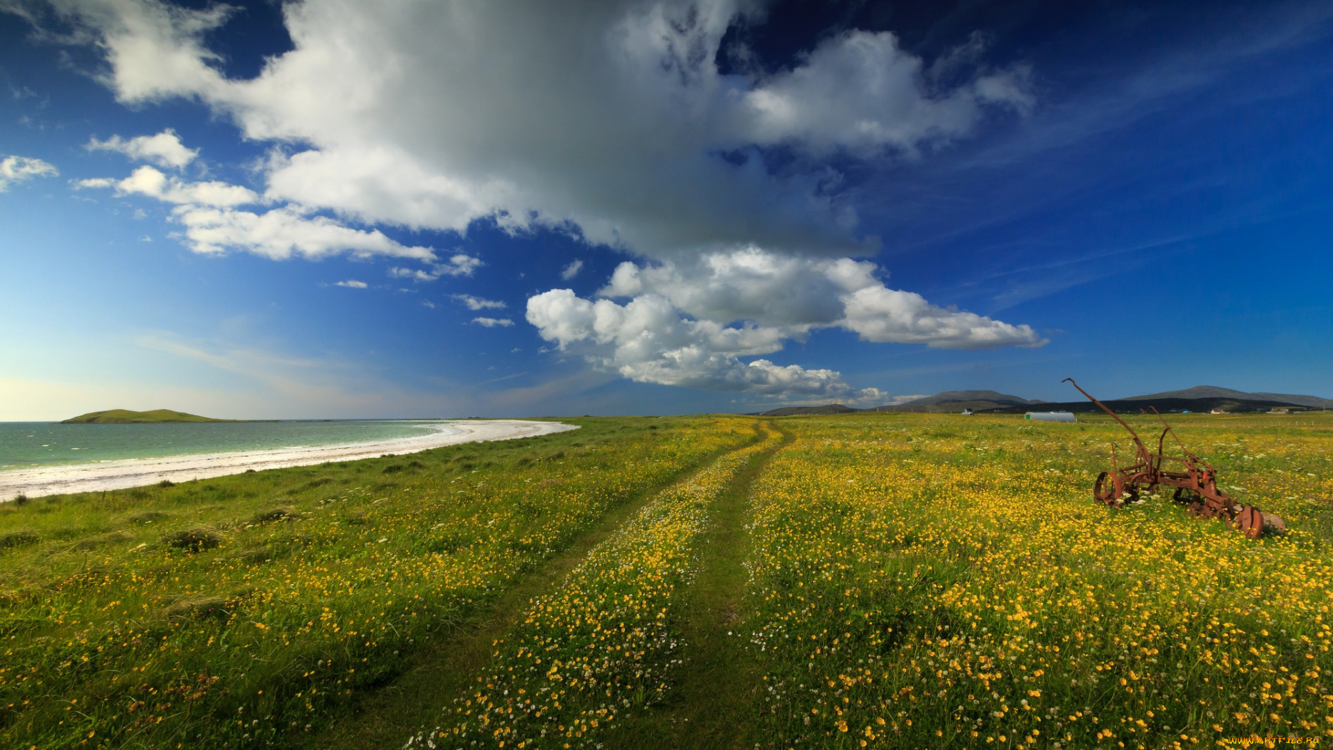 природа, дороги, простор