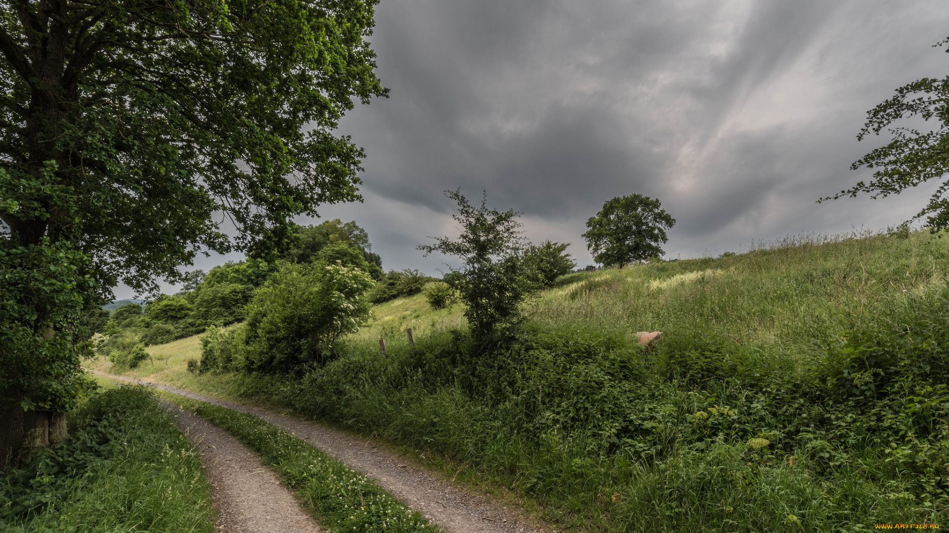 природа, дороги, простор