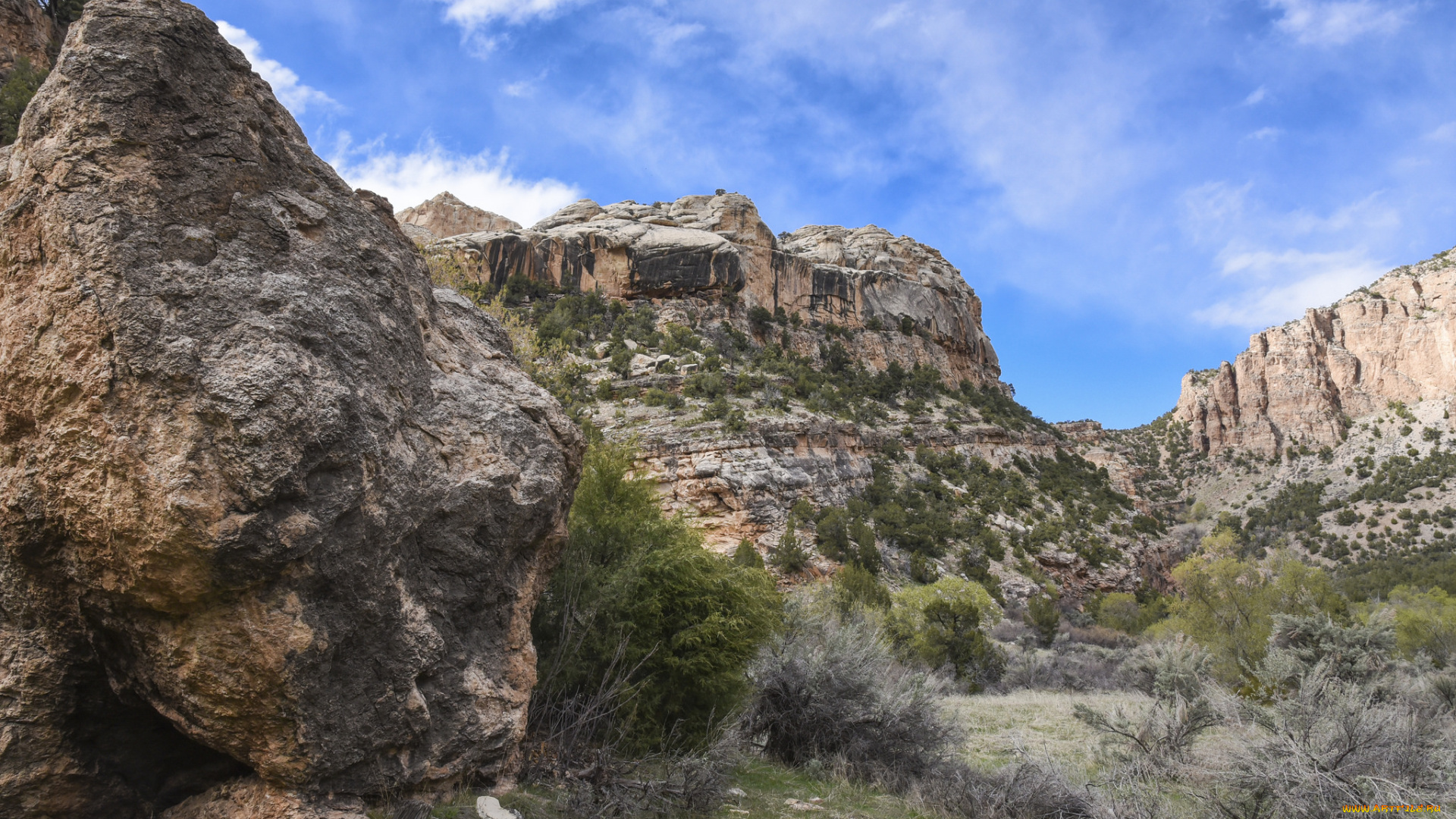 природа, горы, простор