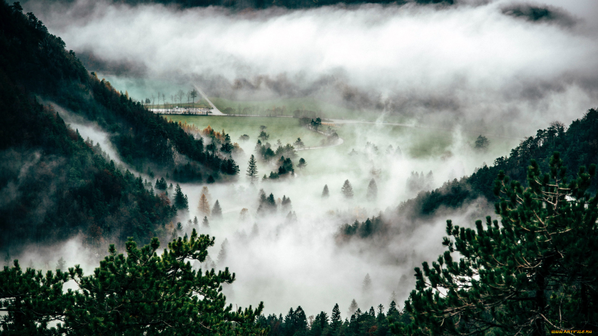 природа, горы, туман