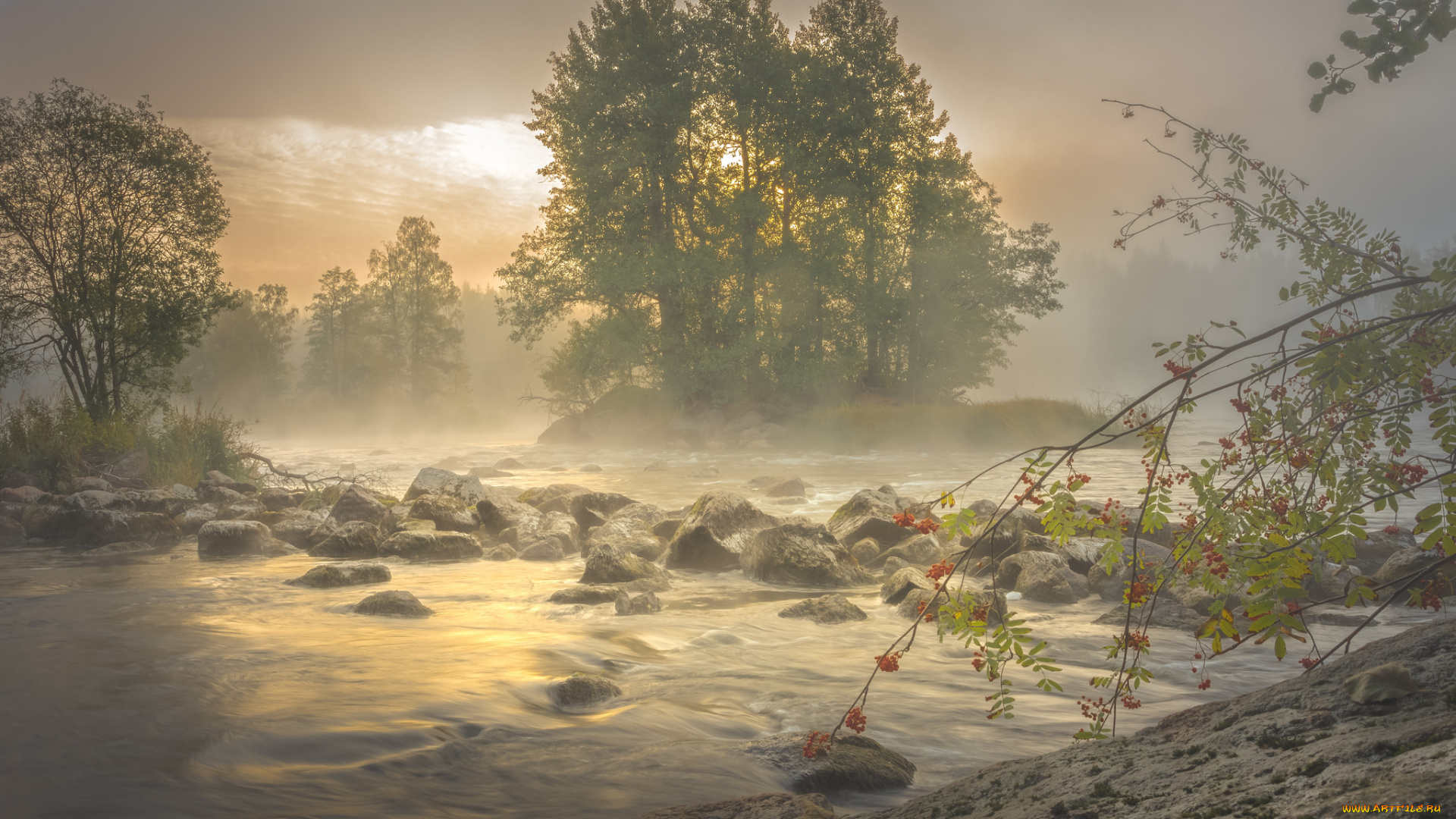 природа, пейзажи, простор