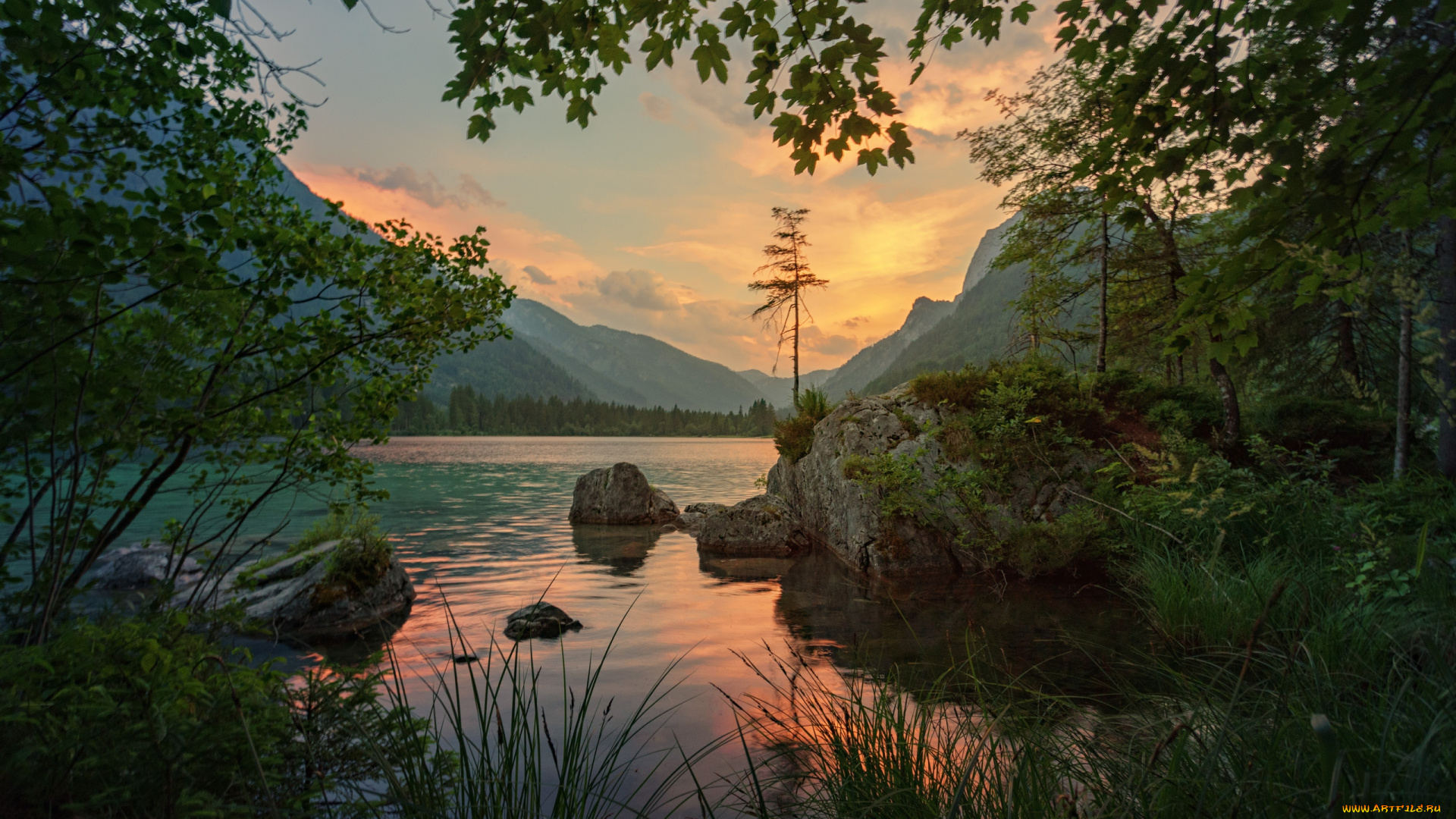 природа, реки, озера, камни, река, горы, камыши