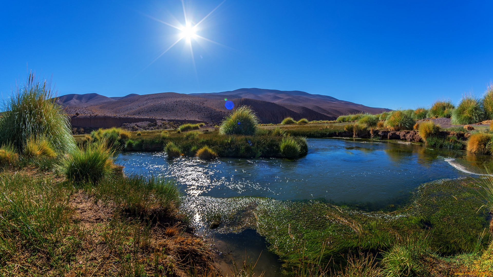 природа, реки, озера, простор