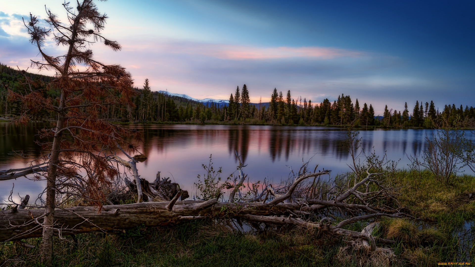 природа, реки, озера, простор