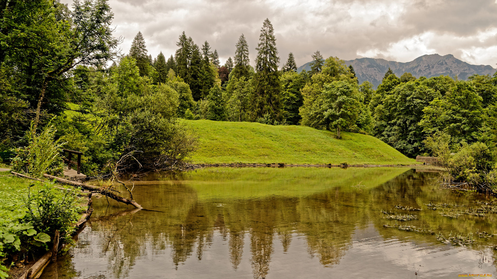 природа, реки, озера, простор