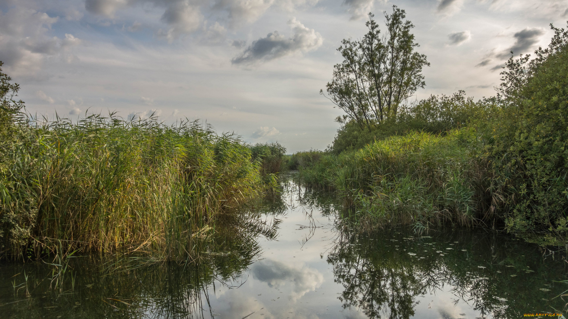 природа, реки, озера, простор