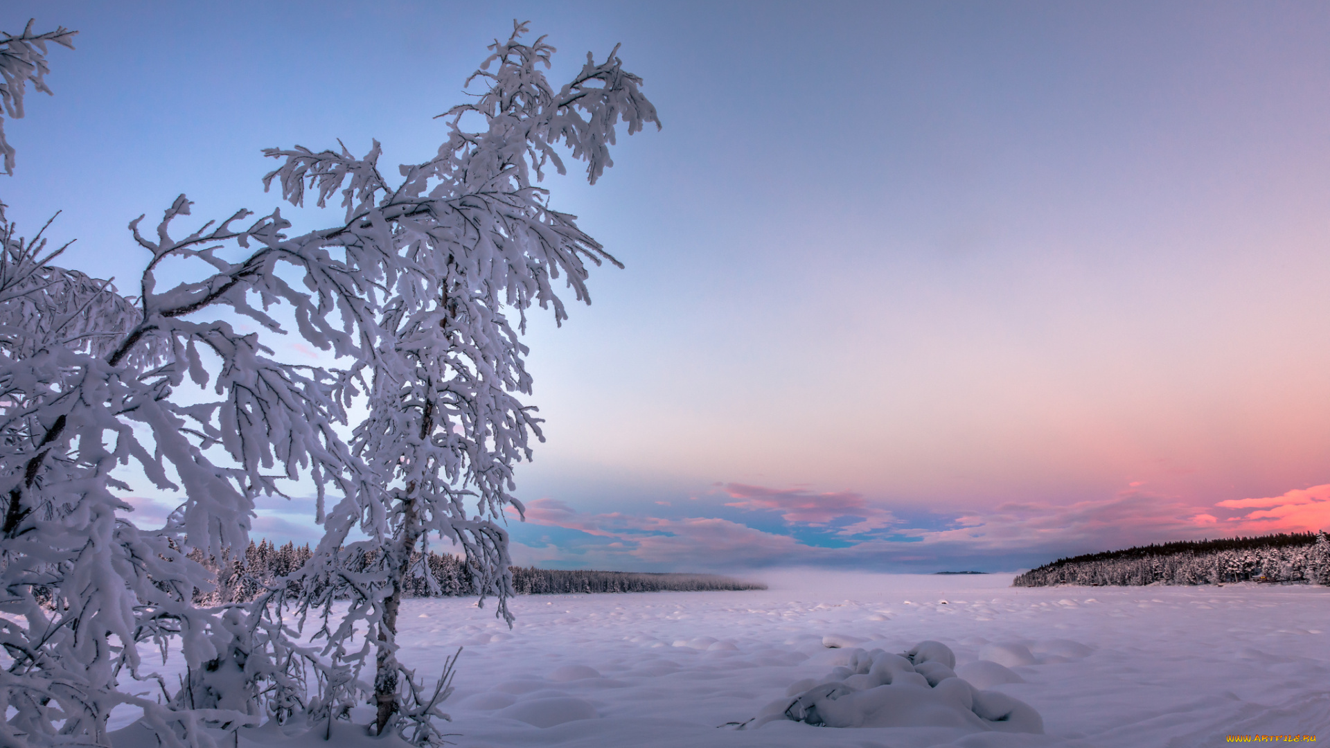 природа, зима, простор