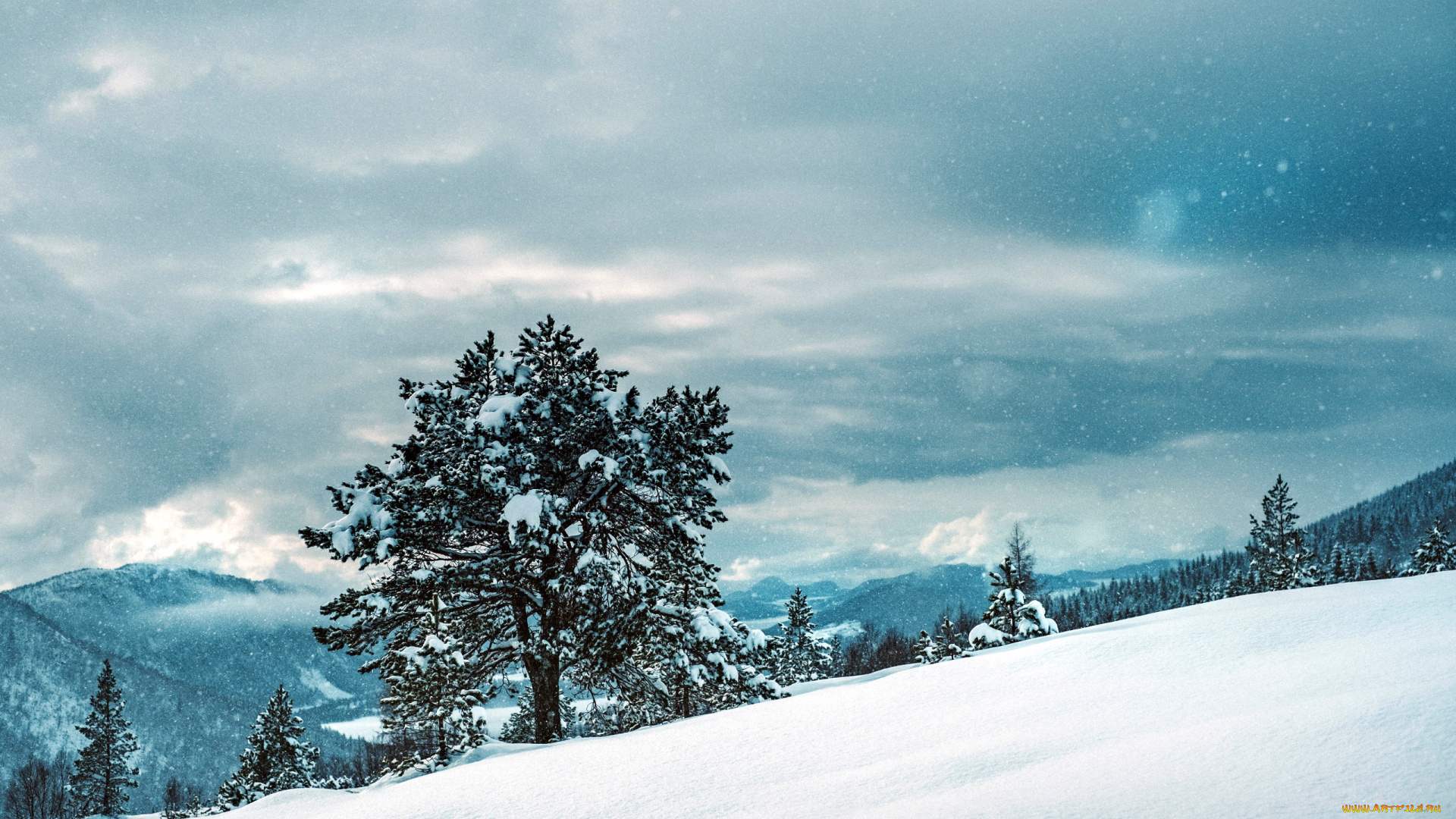 природа, зима, снег