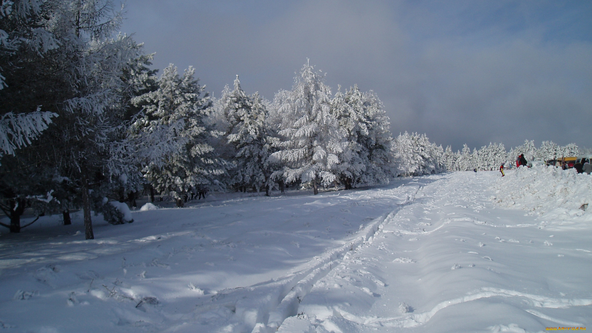 природа, зимой, природа, лес, зимой