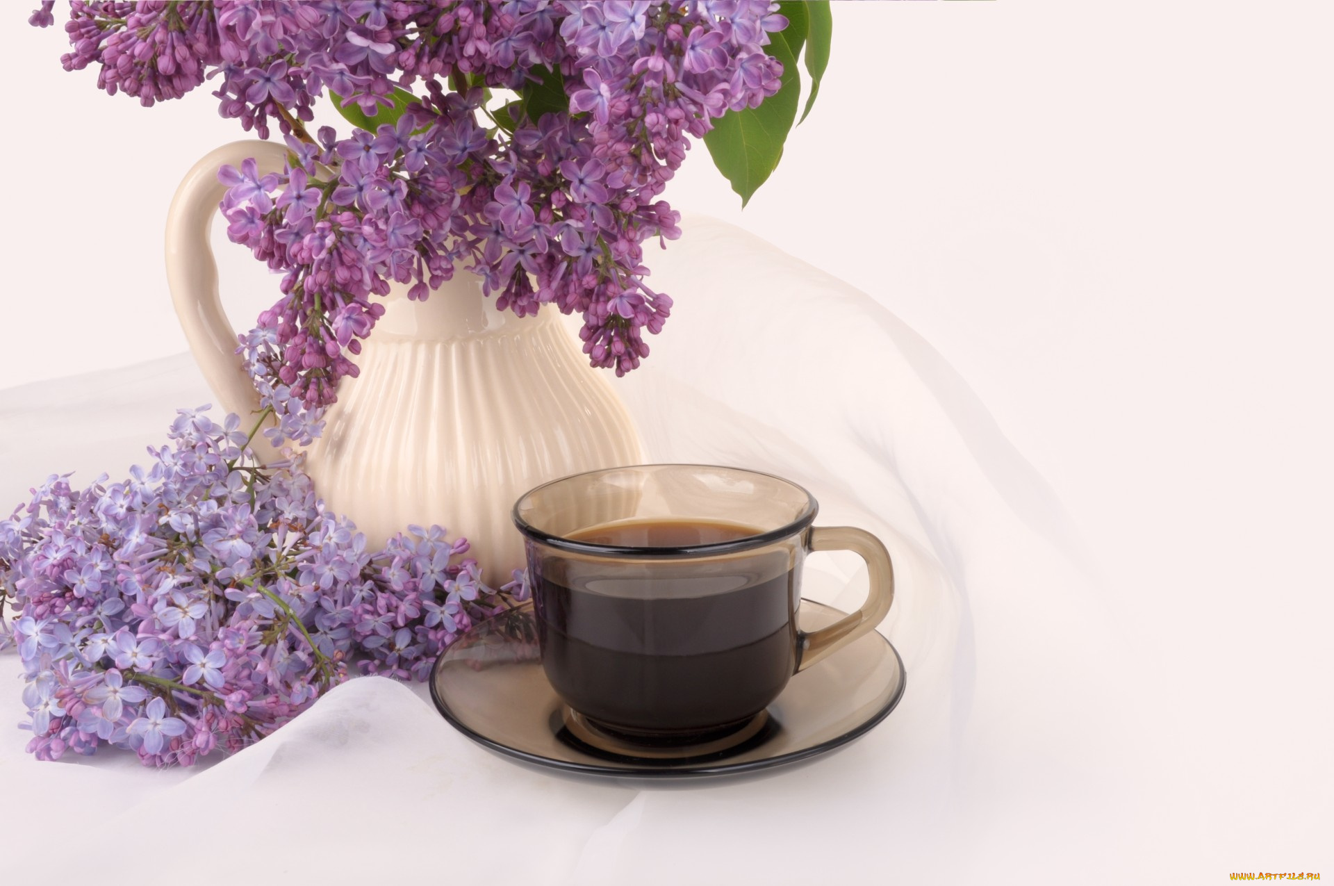 еда, кофе, , кофейные, зёрна, чашка, сирень