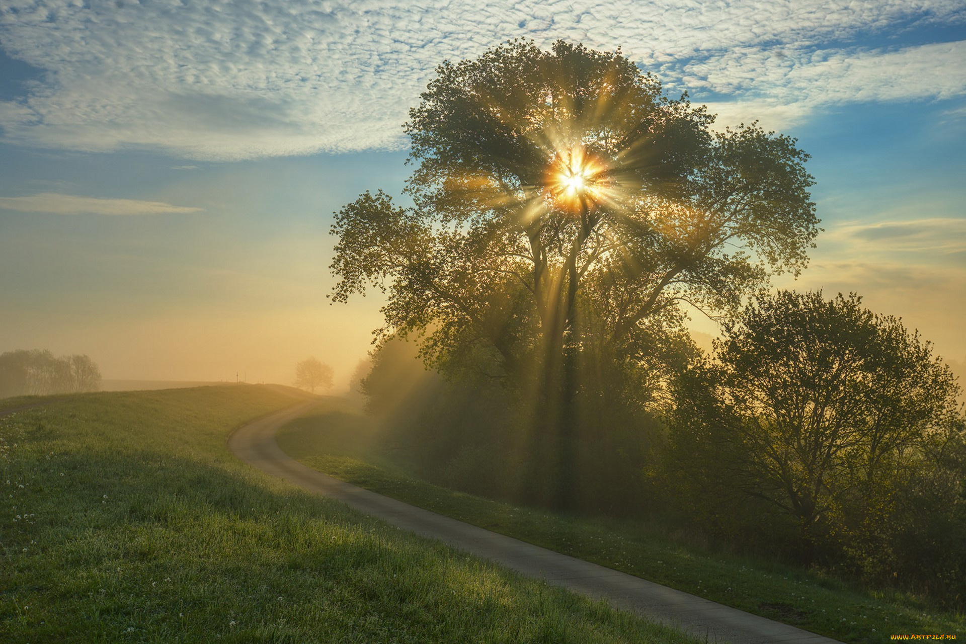 природа, пейзажи, простор