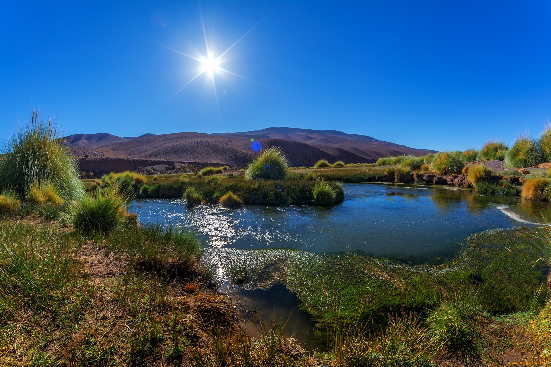 природа, реки, озера, простор