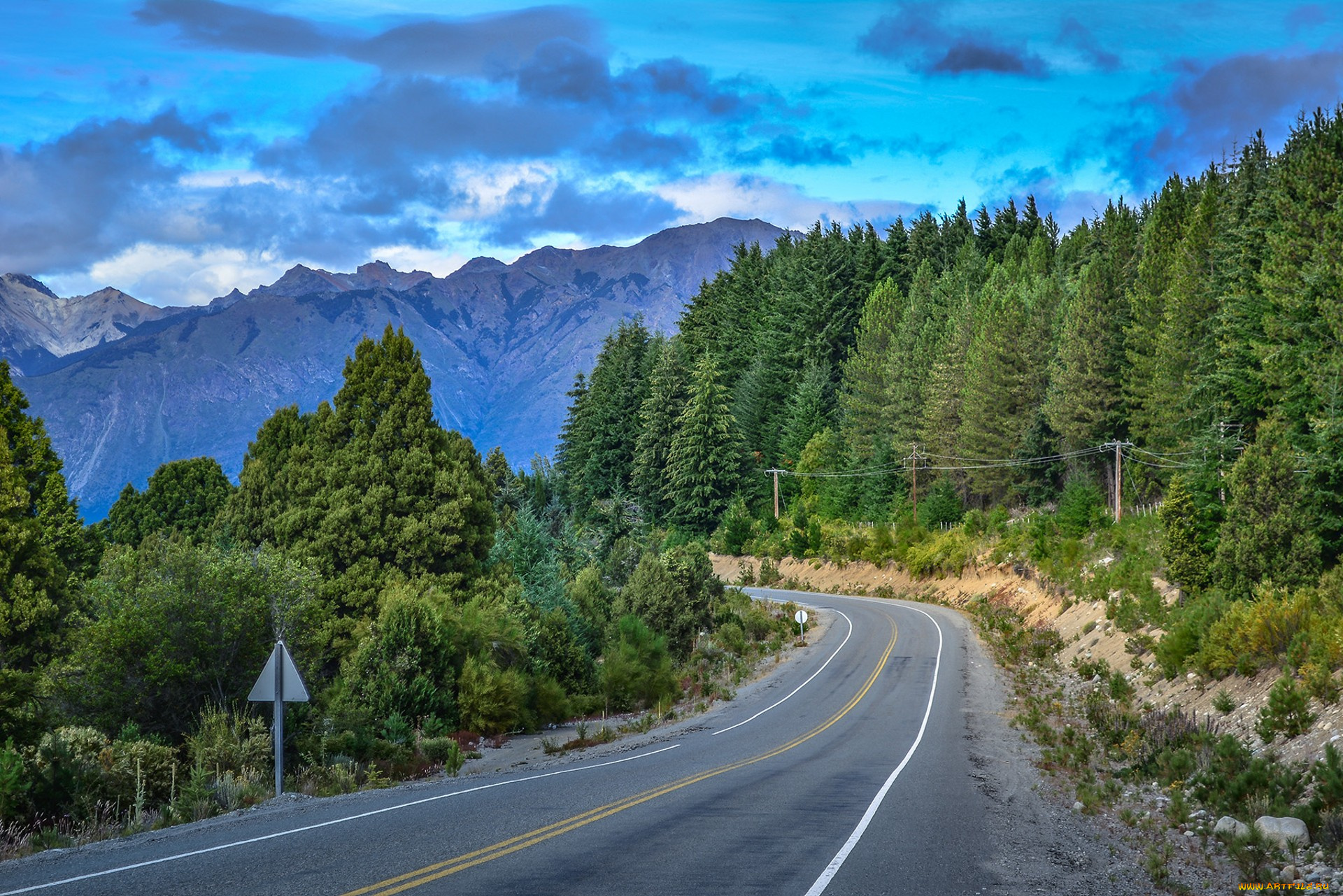 природа, дороги, простор