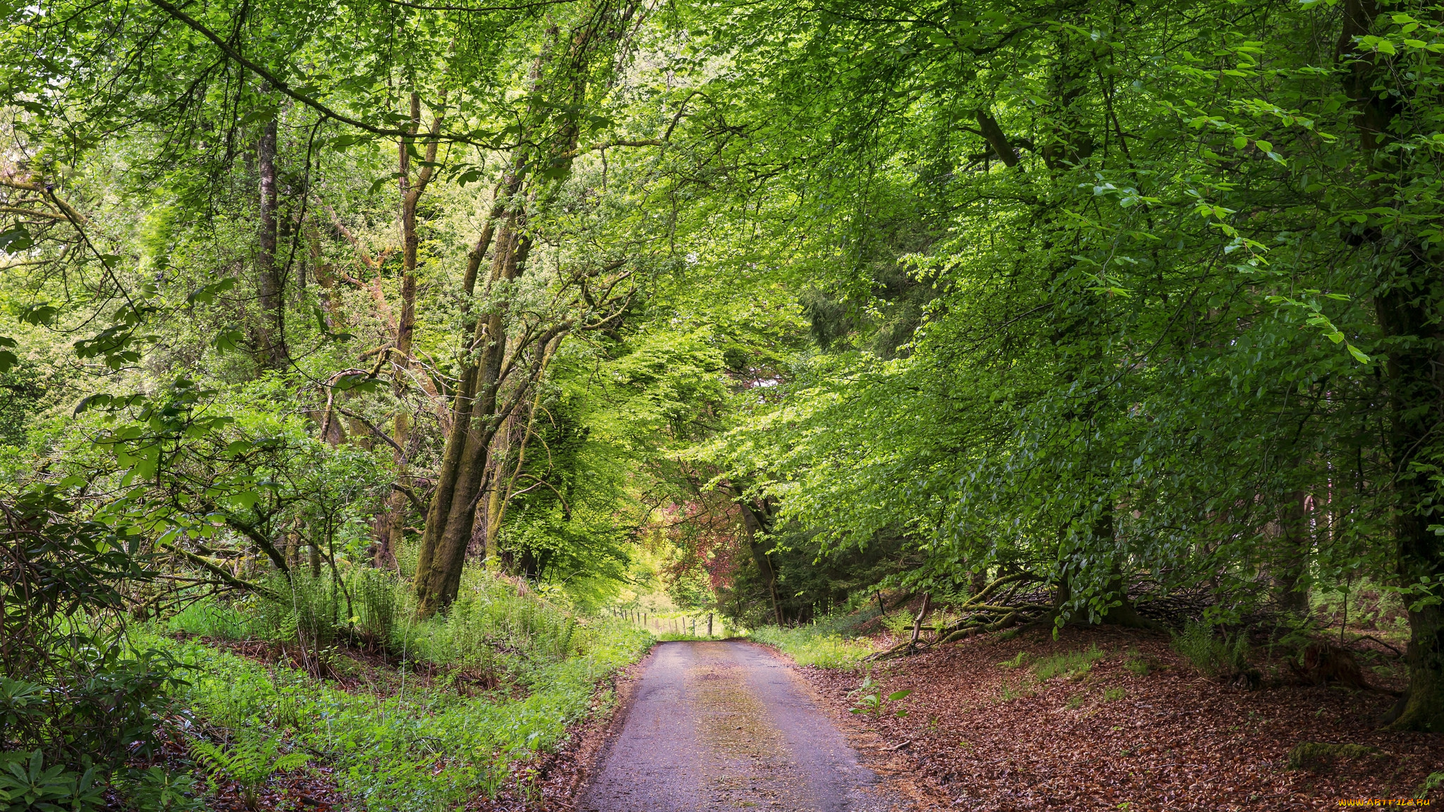 природа, дороги, простор