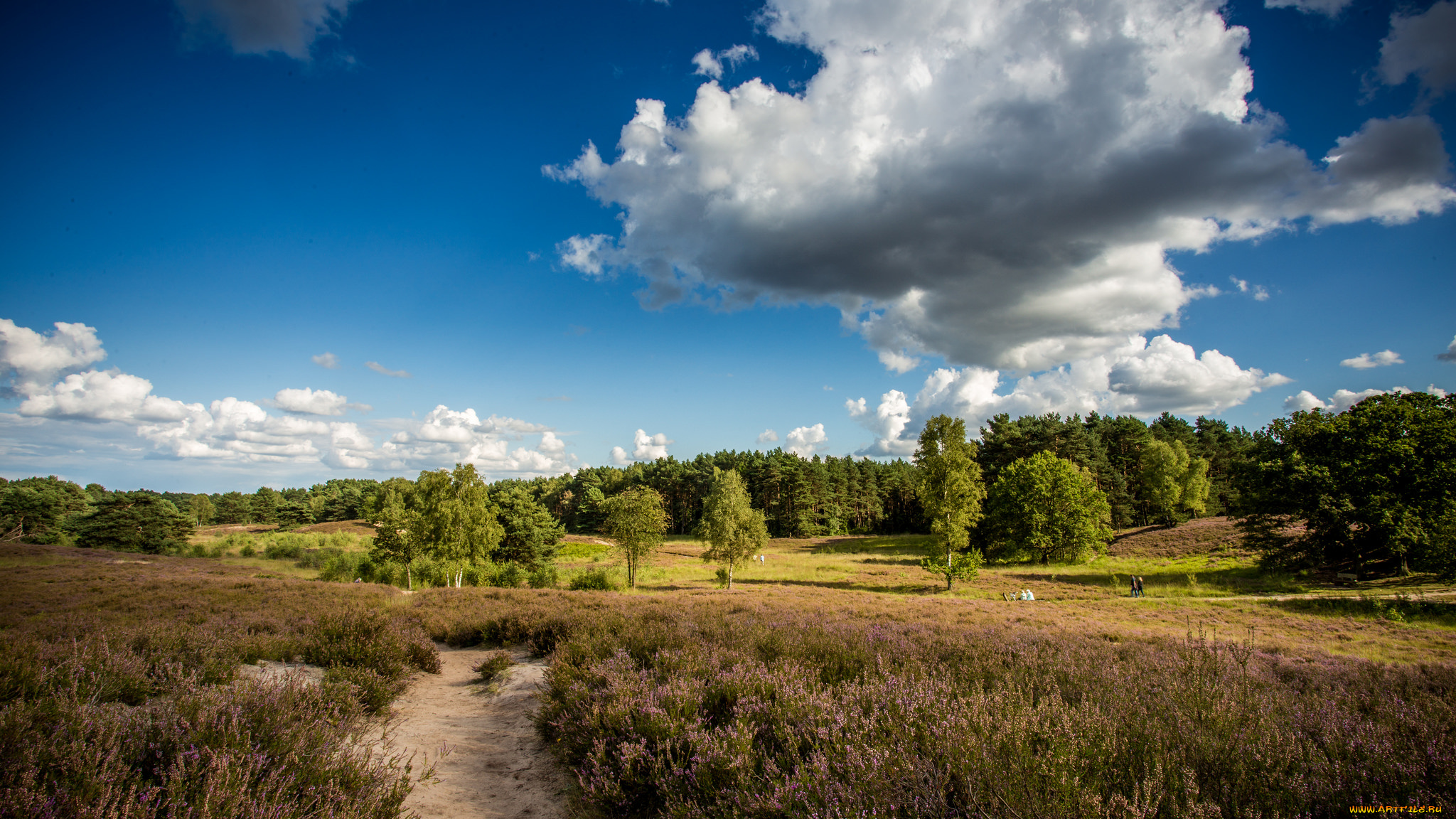 природа, пейзажи, простор