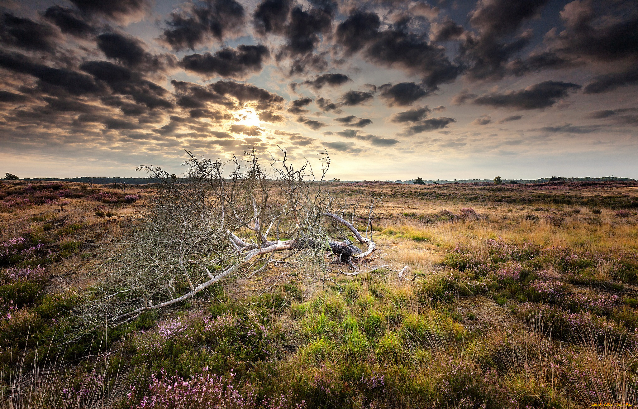 природа, пейзажи, простор