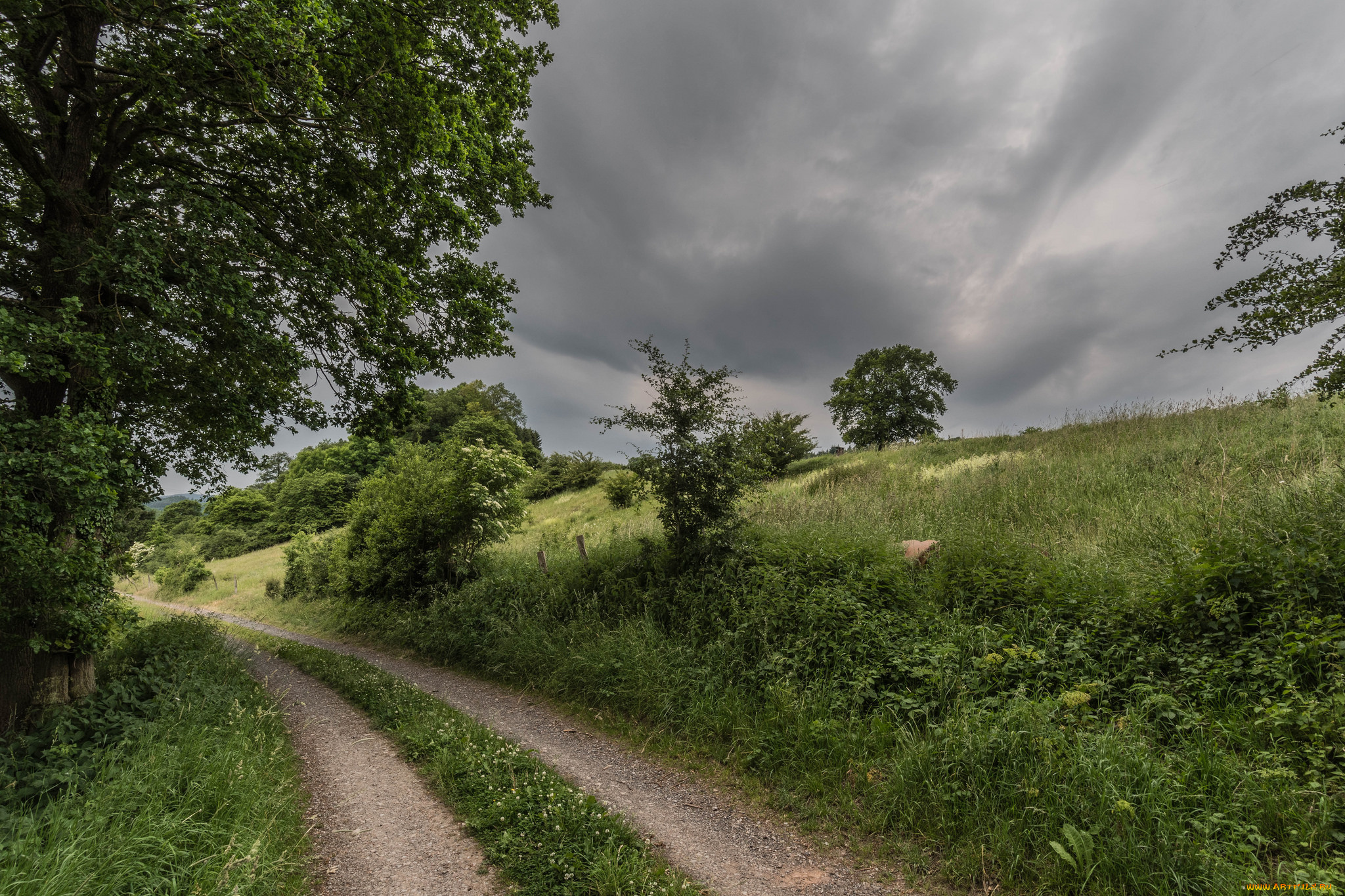 природа, дороги, простор