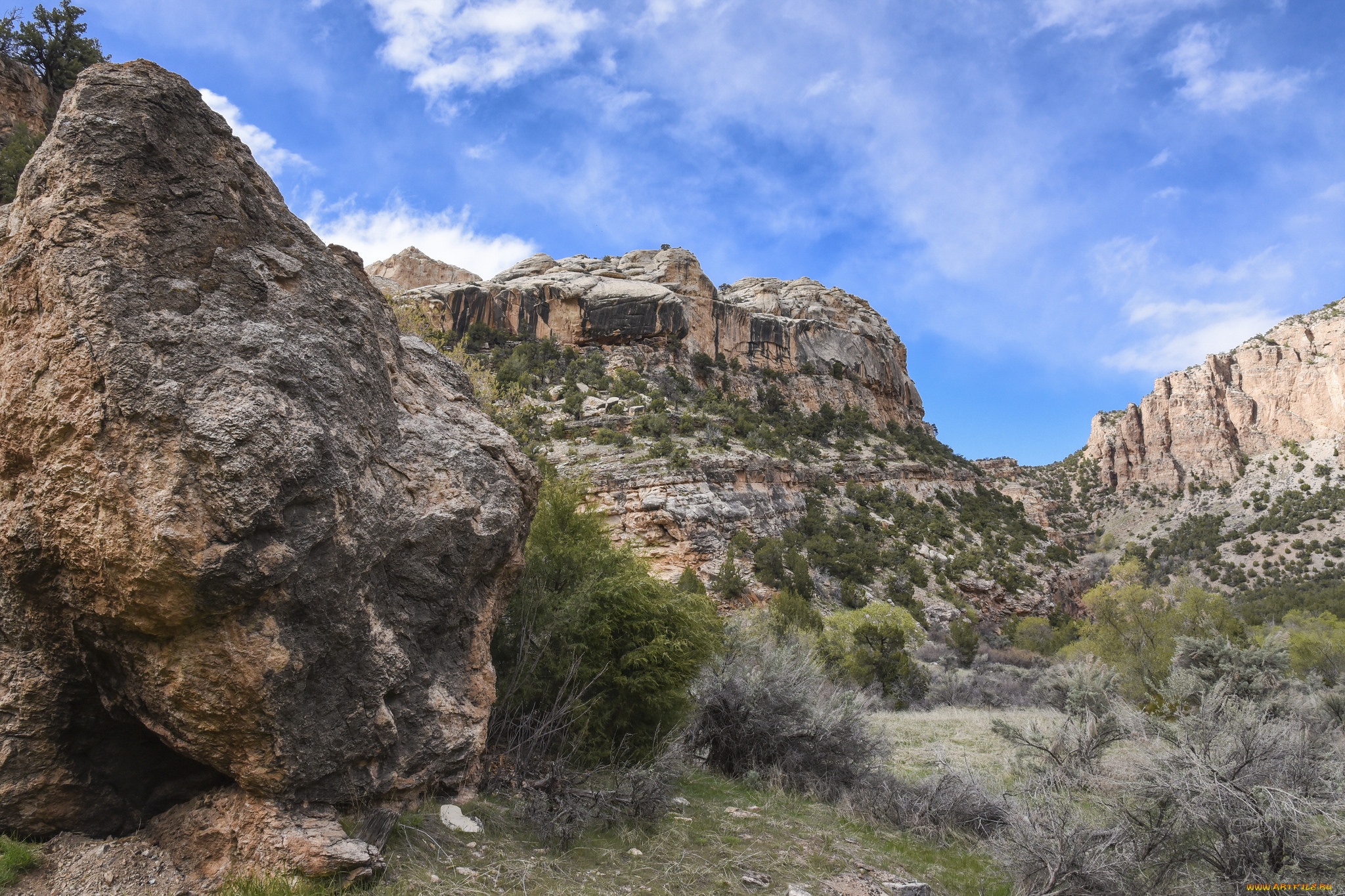 природа, горы, простор