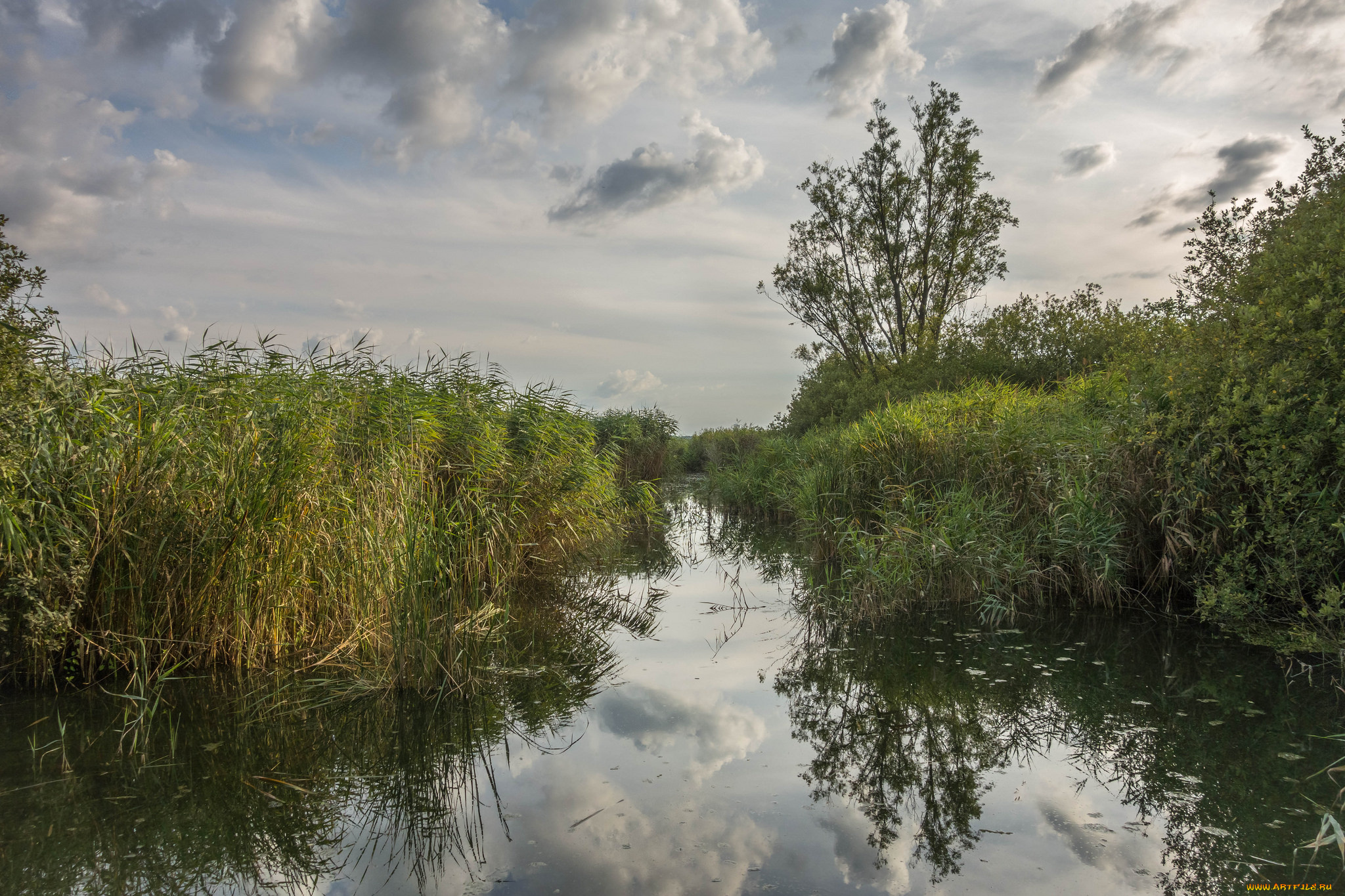 природа, реки, озера, простор