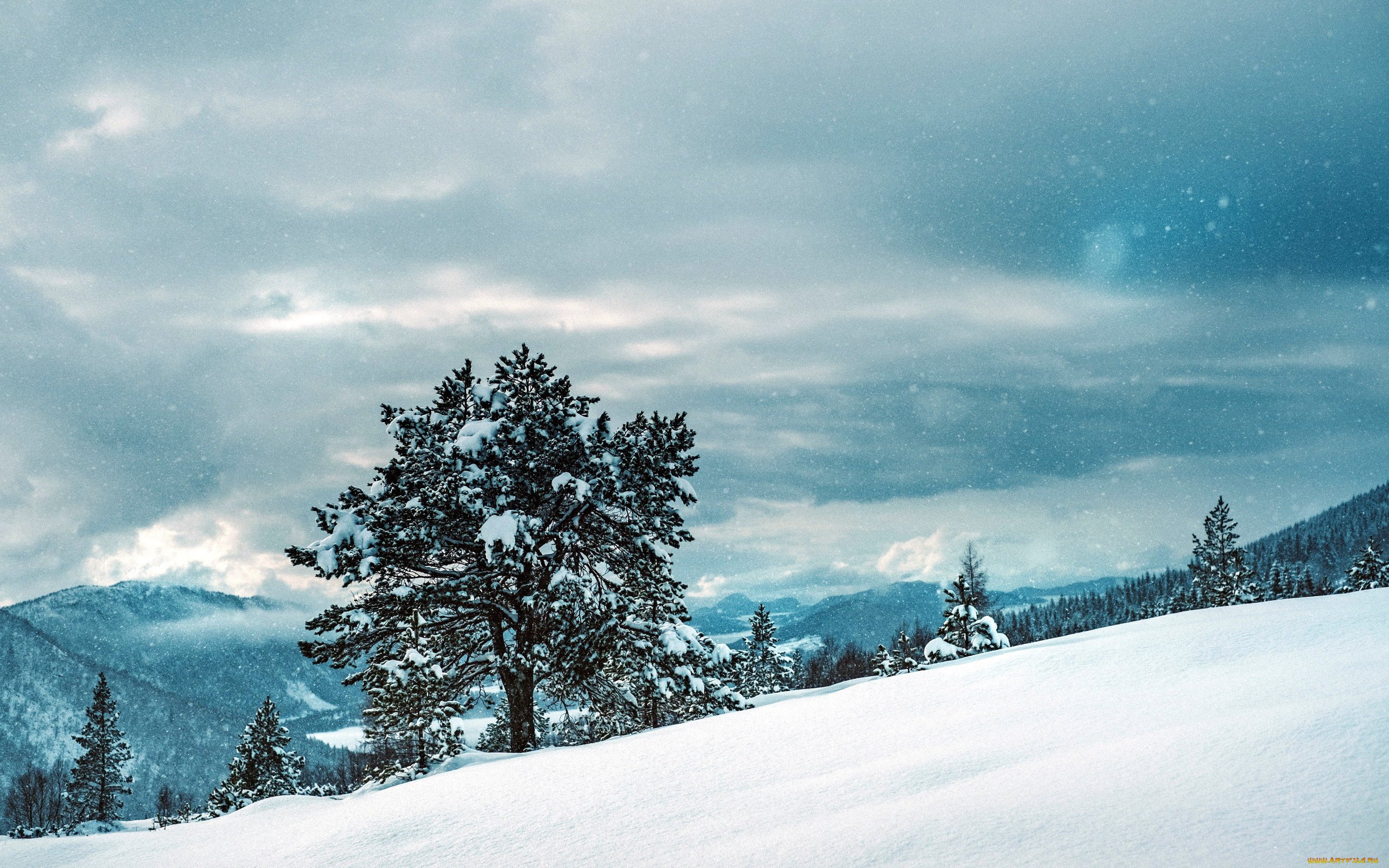 природа, зима, снег