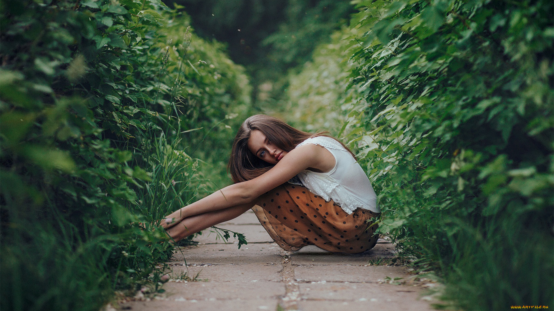 девушка, девушки, -unsort, , брюнетки, темноволосые, модель