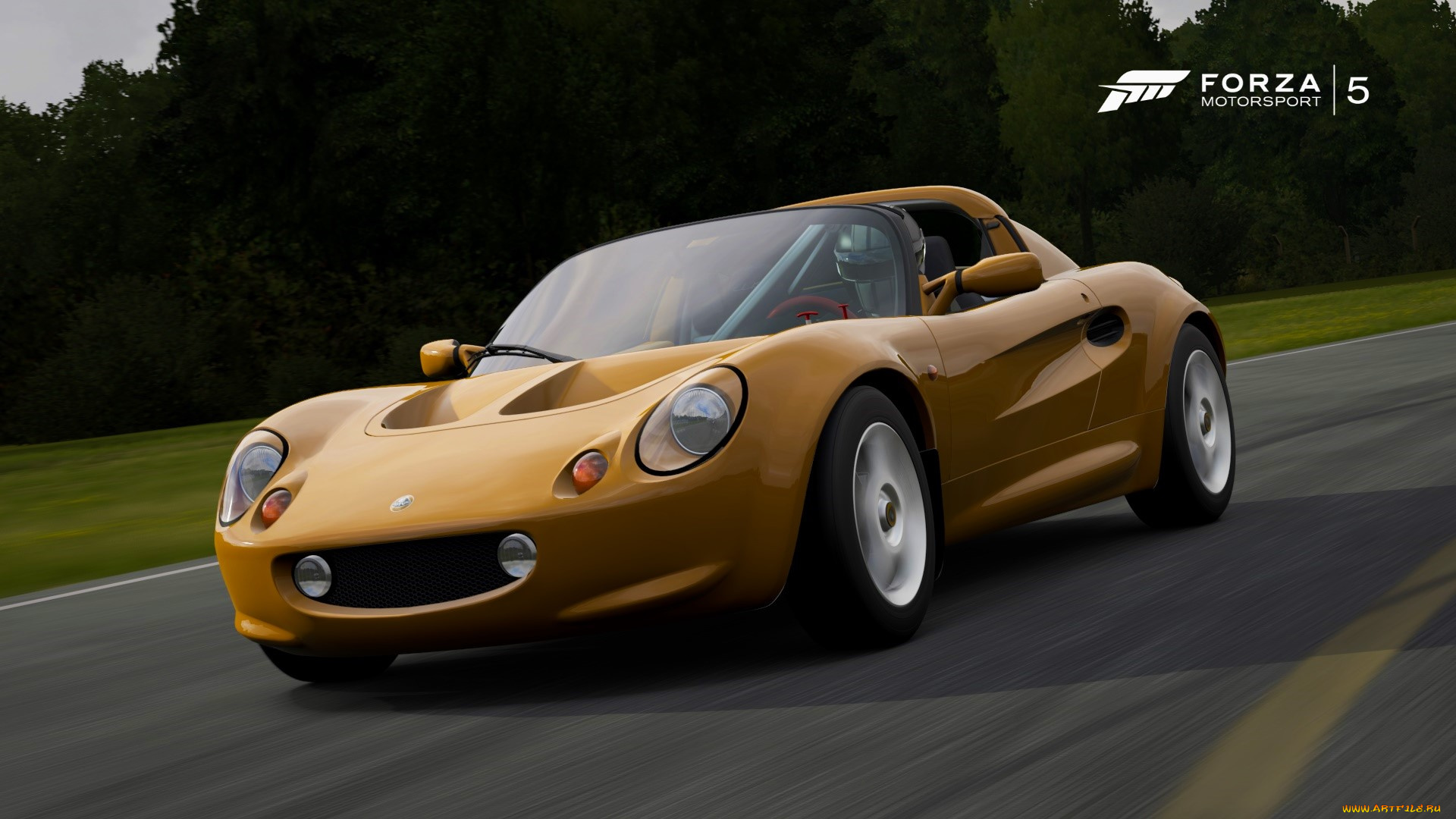 видео, игры, forza, motorsport, 5, forza, motorsport, 5