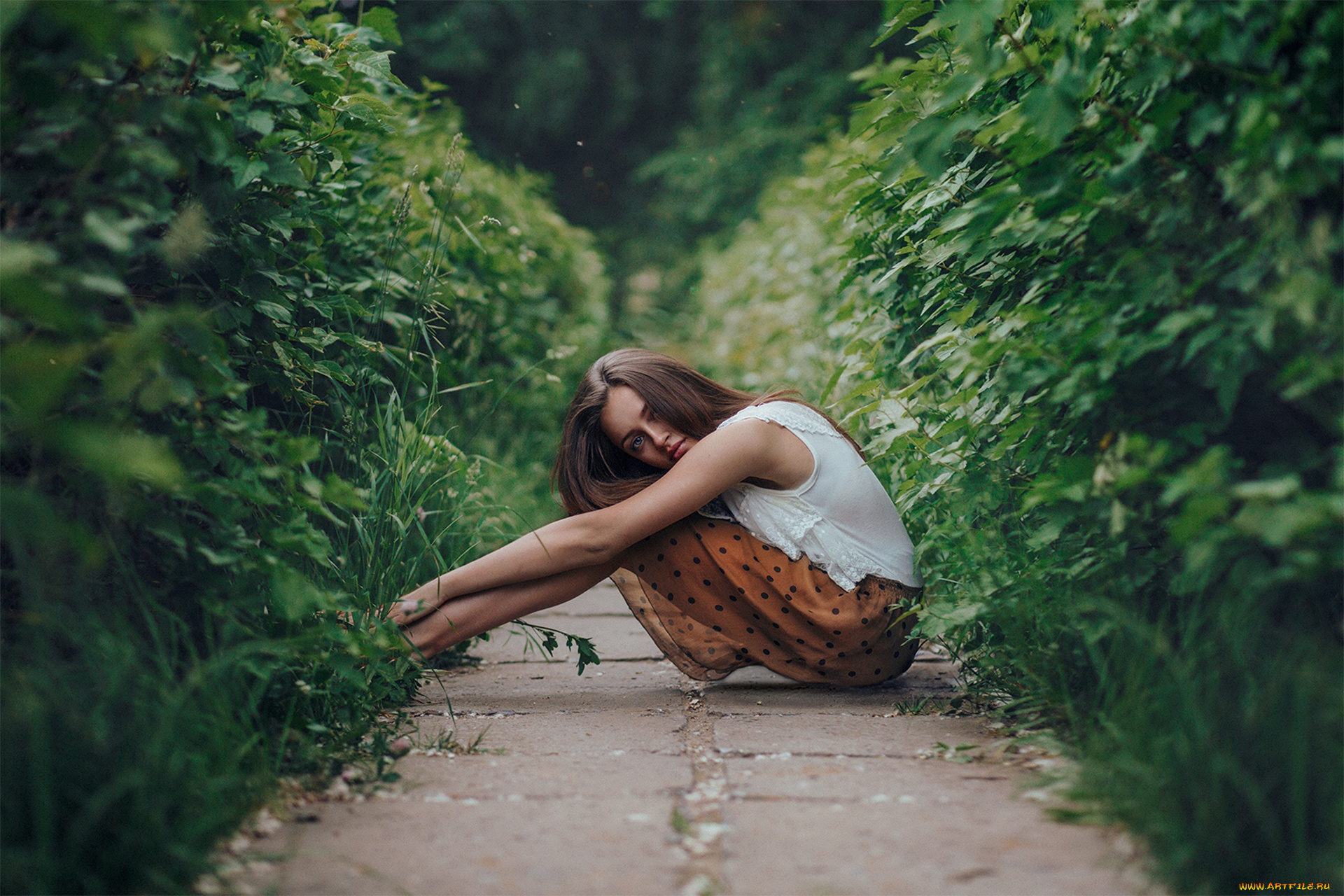 девушка, девушки, -unsort, , брюнетки, темноволосые, модель