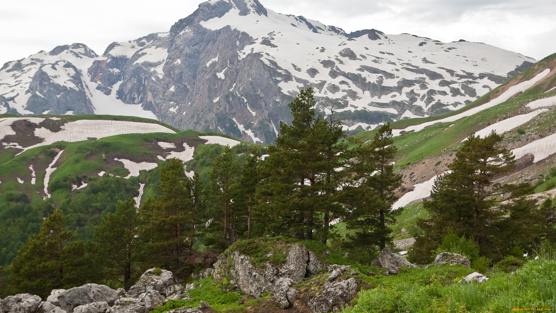 фишт, природа, горы, россия, деревья, скалы, гора, кавказ